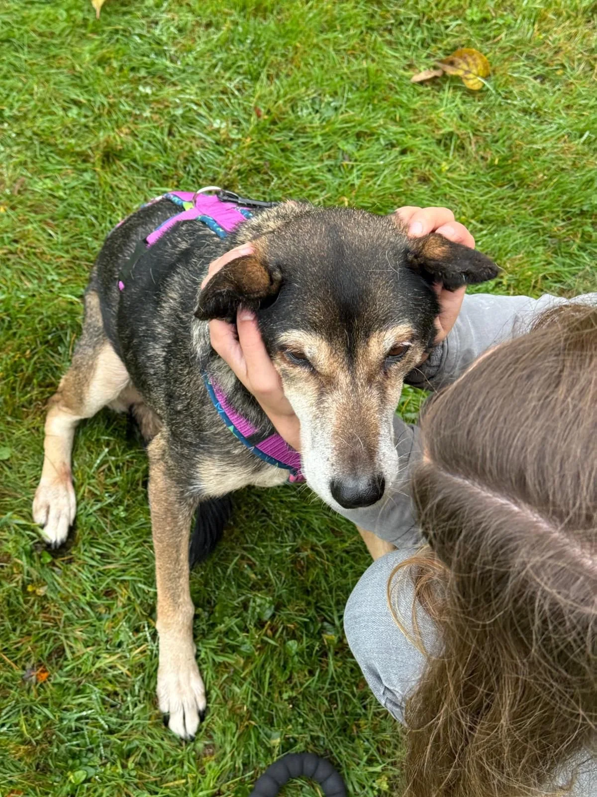 WhatsApp Image 2025-12-13 at 16.28.28 (1).jpeg