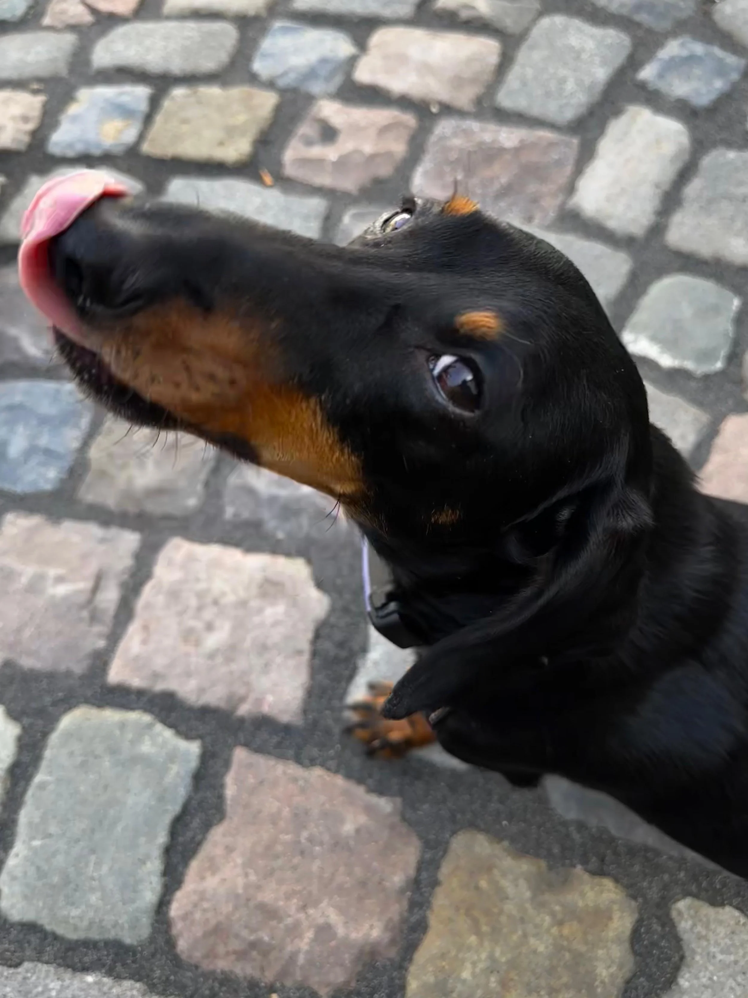 WhatsApp Image 2025-11-17 at 10.34.37.jpeg