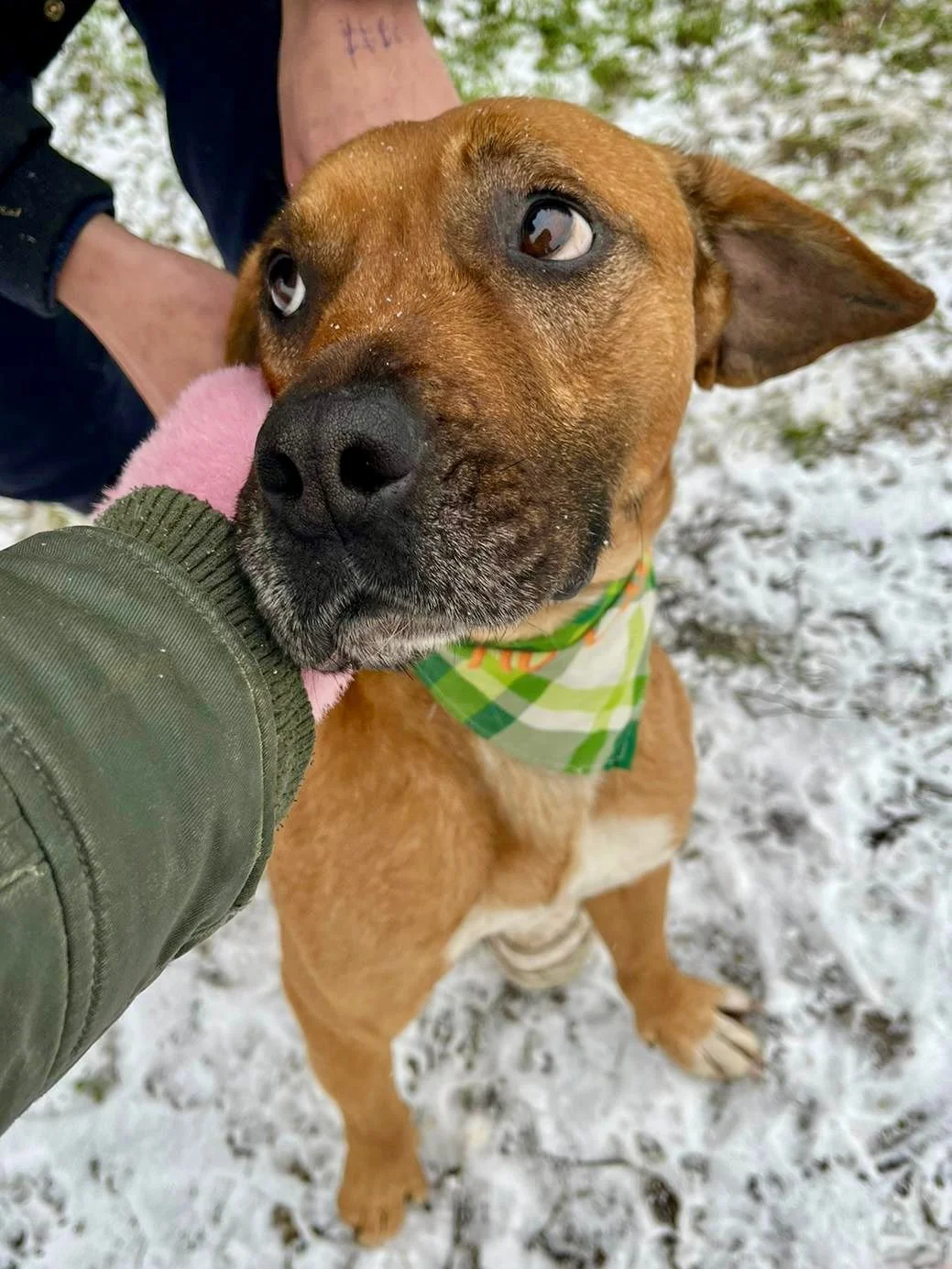 WhatsApp Image 2026-01-10 at 15.07.51.jpeg