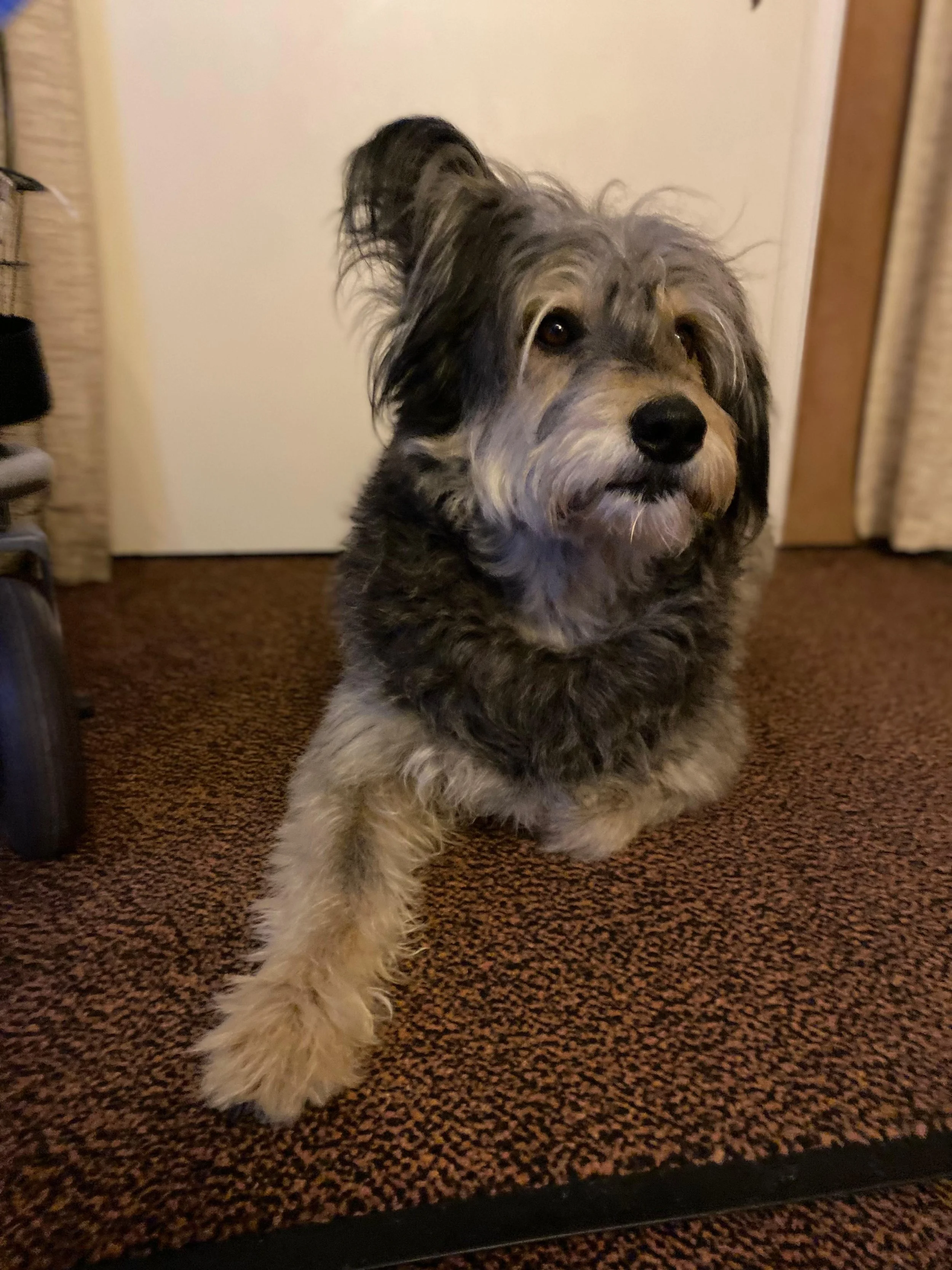 WhatsApp Image 2026-01-10 at 12.02.46 (1).jpeg