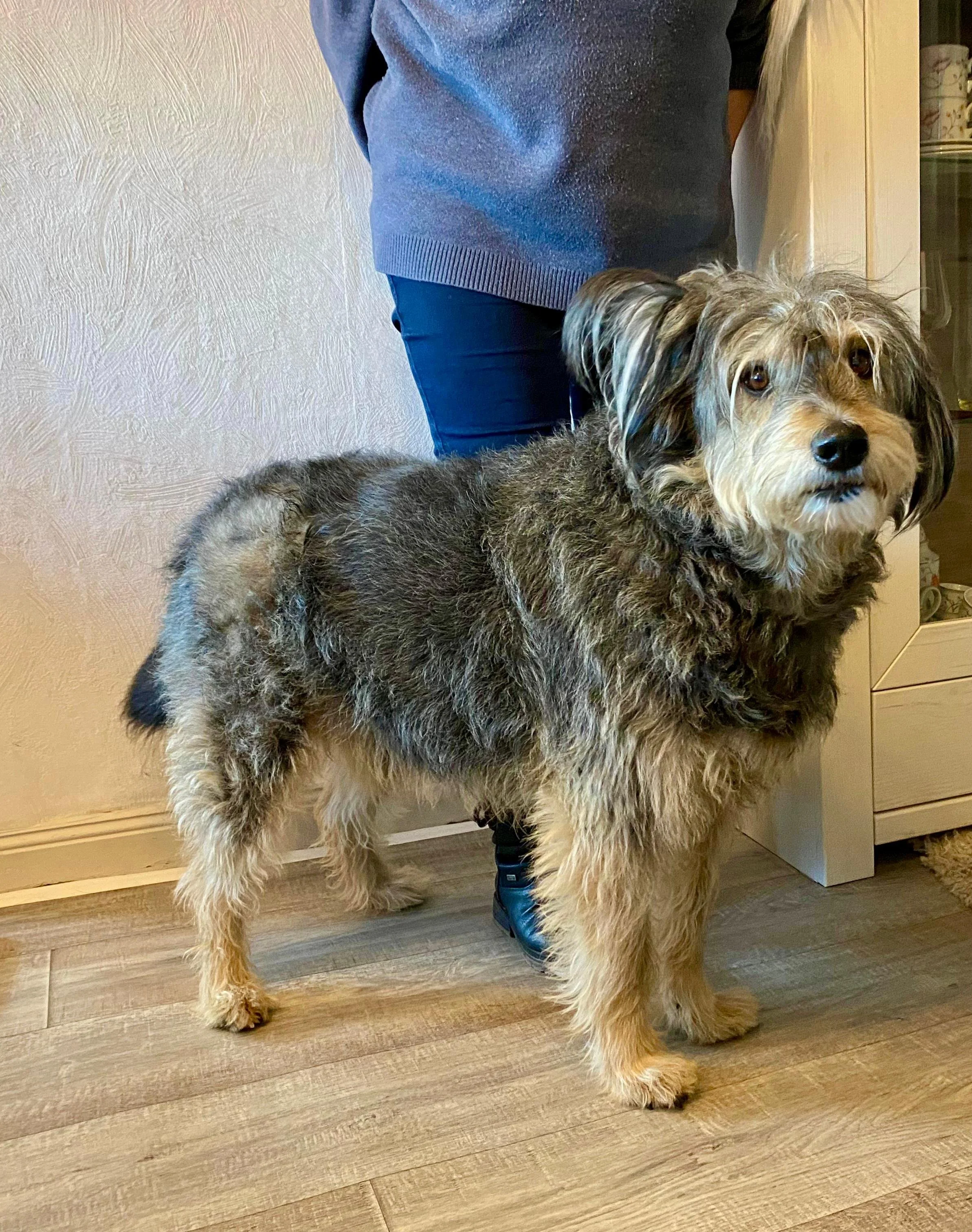 WhatsApp Image 2026-01-10 at 12.02.49 (1).jpeg