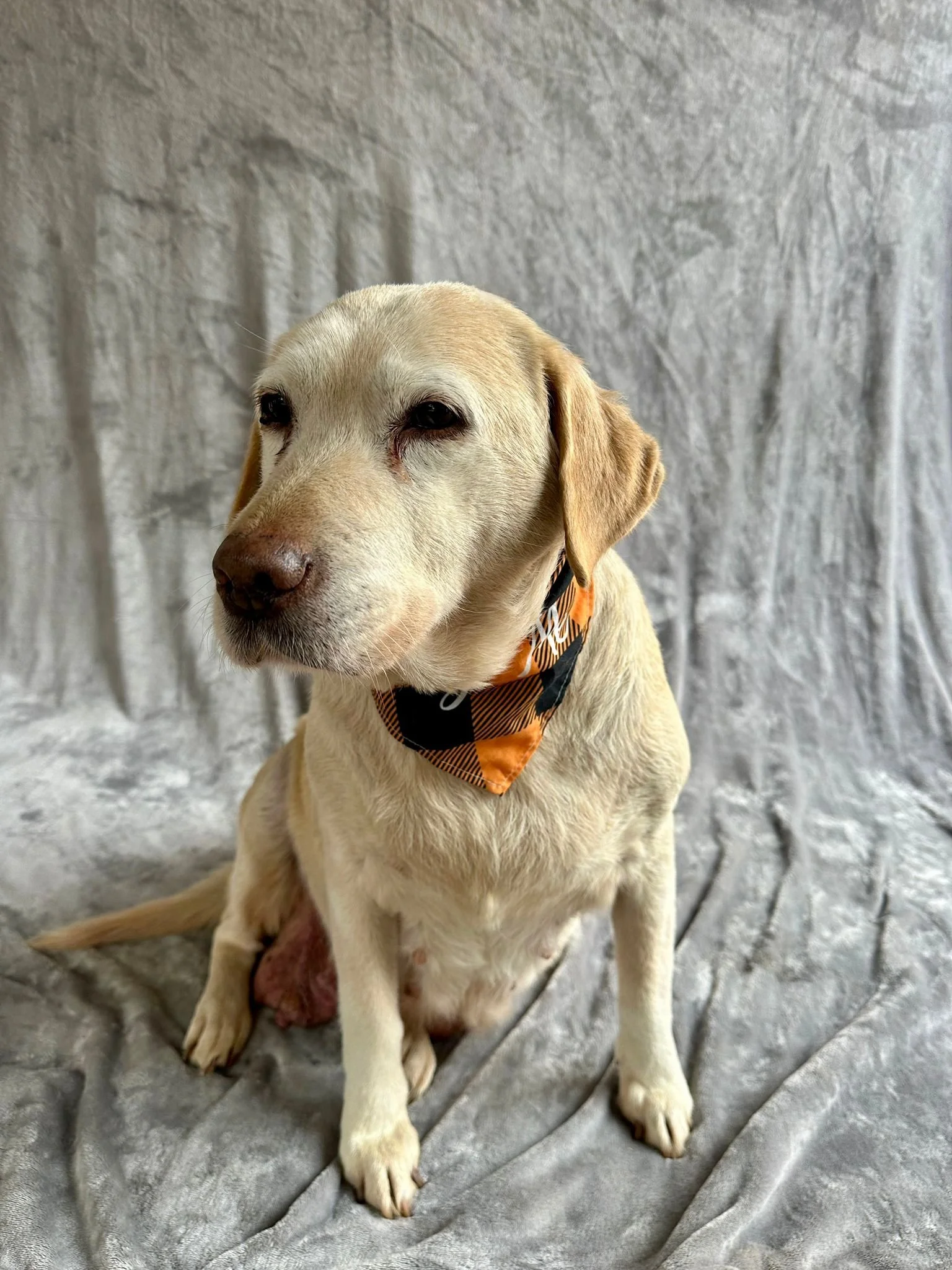 WhatsApp Image 2026-01-01 at 12.37.32 (2).jpeg