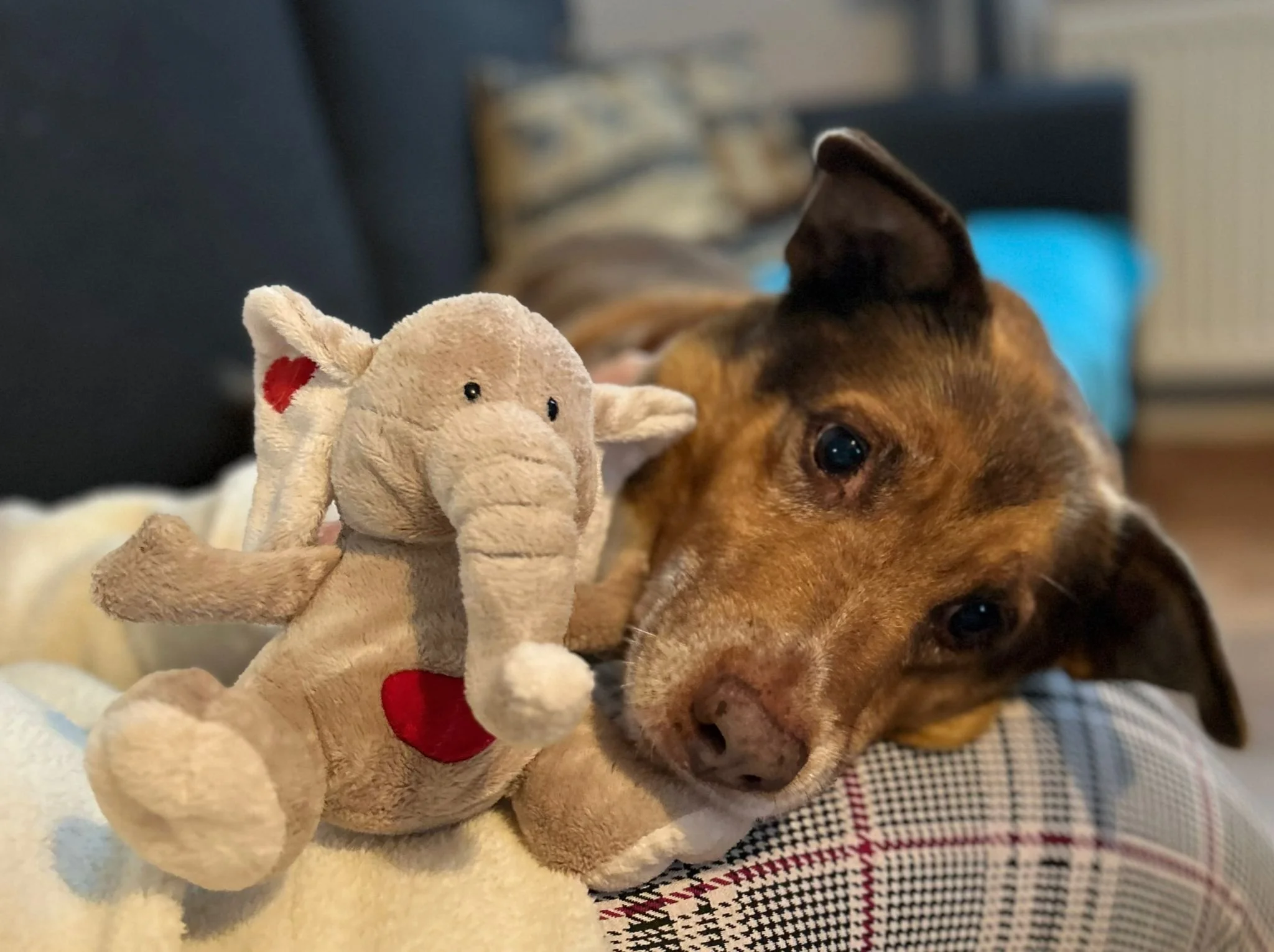 WhatsApp Image 2026-01-23 at 15.35.30 (1).jpeg