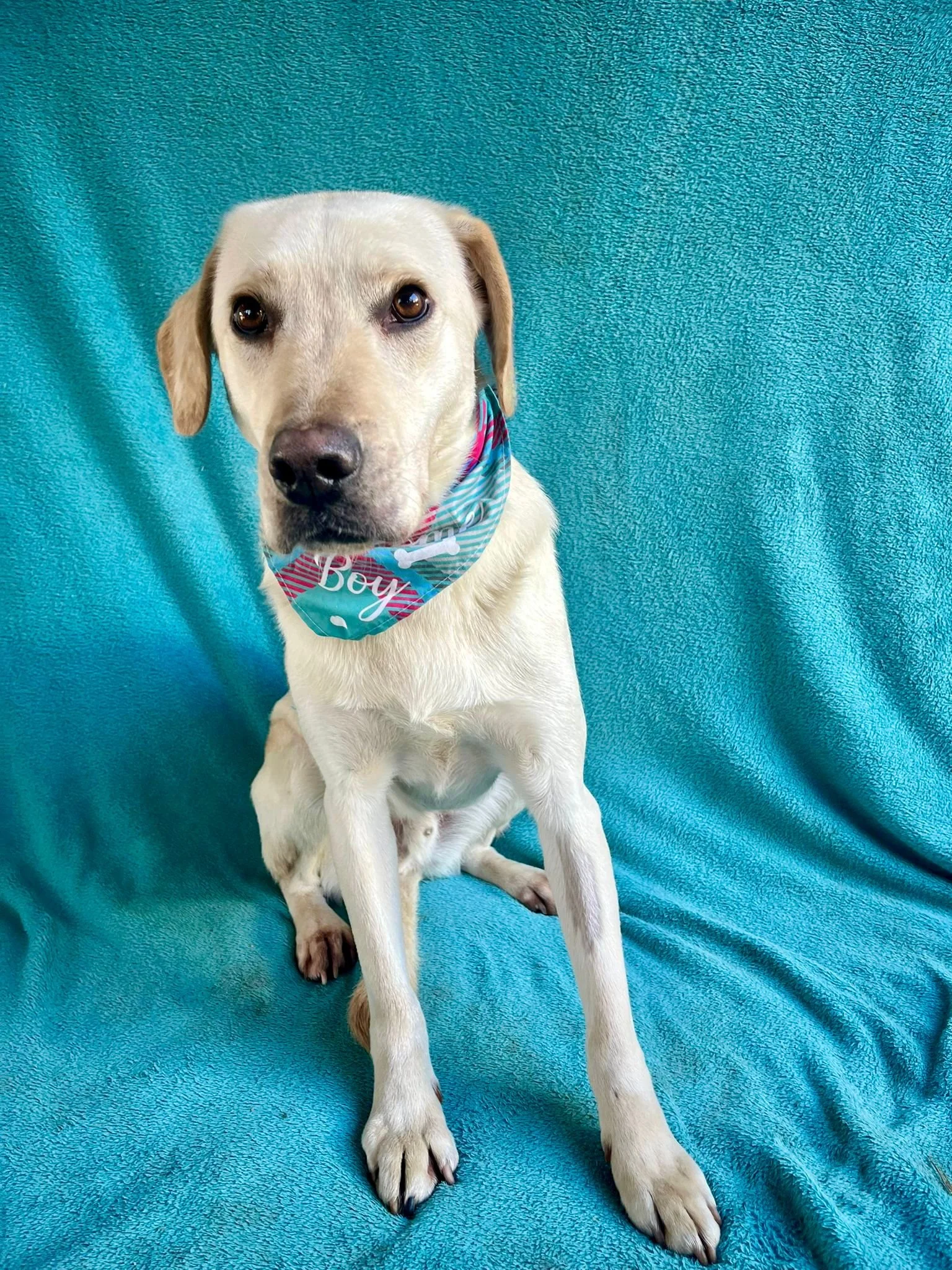 WhatsApp Image 2026-01-01 at 19.16.34 (2).jpeg