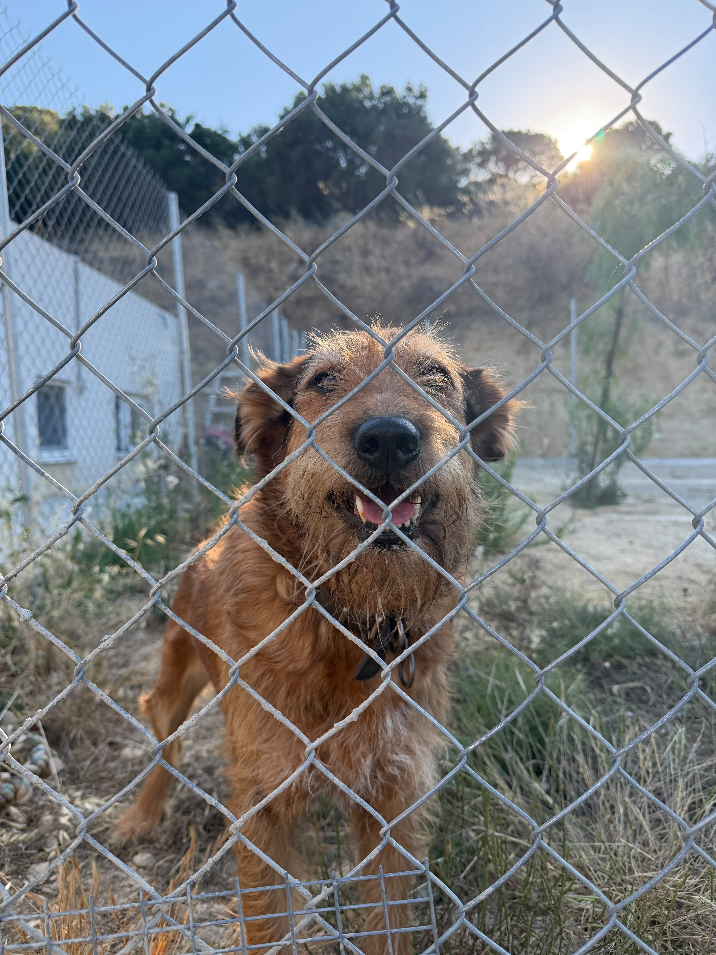 e8b077a3-60d9-4455-b8a4-6df6b7bddf83.jpeg