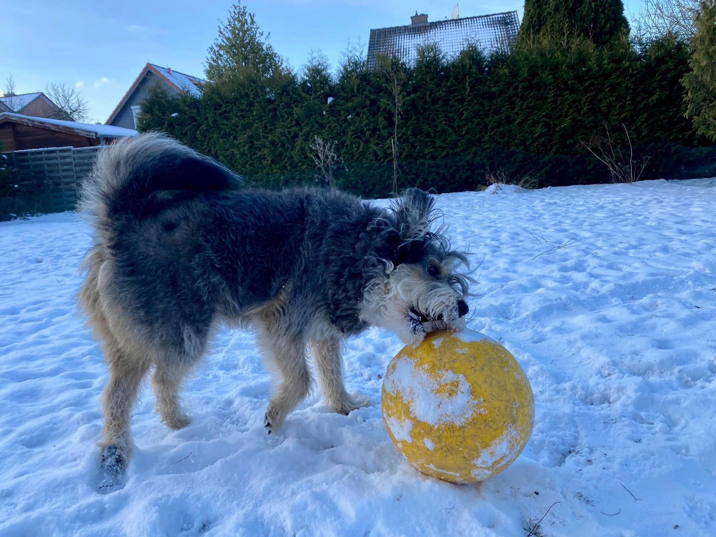 WhatsApp Image 2026-01-10 at 12.02.47 (3).jpeg