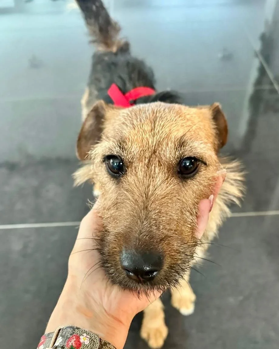 WhatsApp Image 2025-12-19 at 14.41.26.jpeg