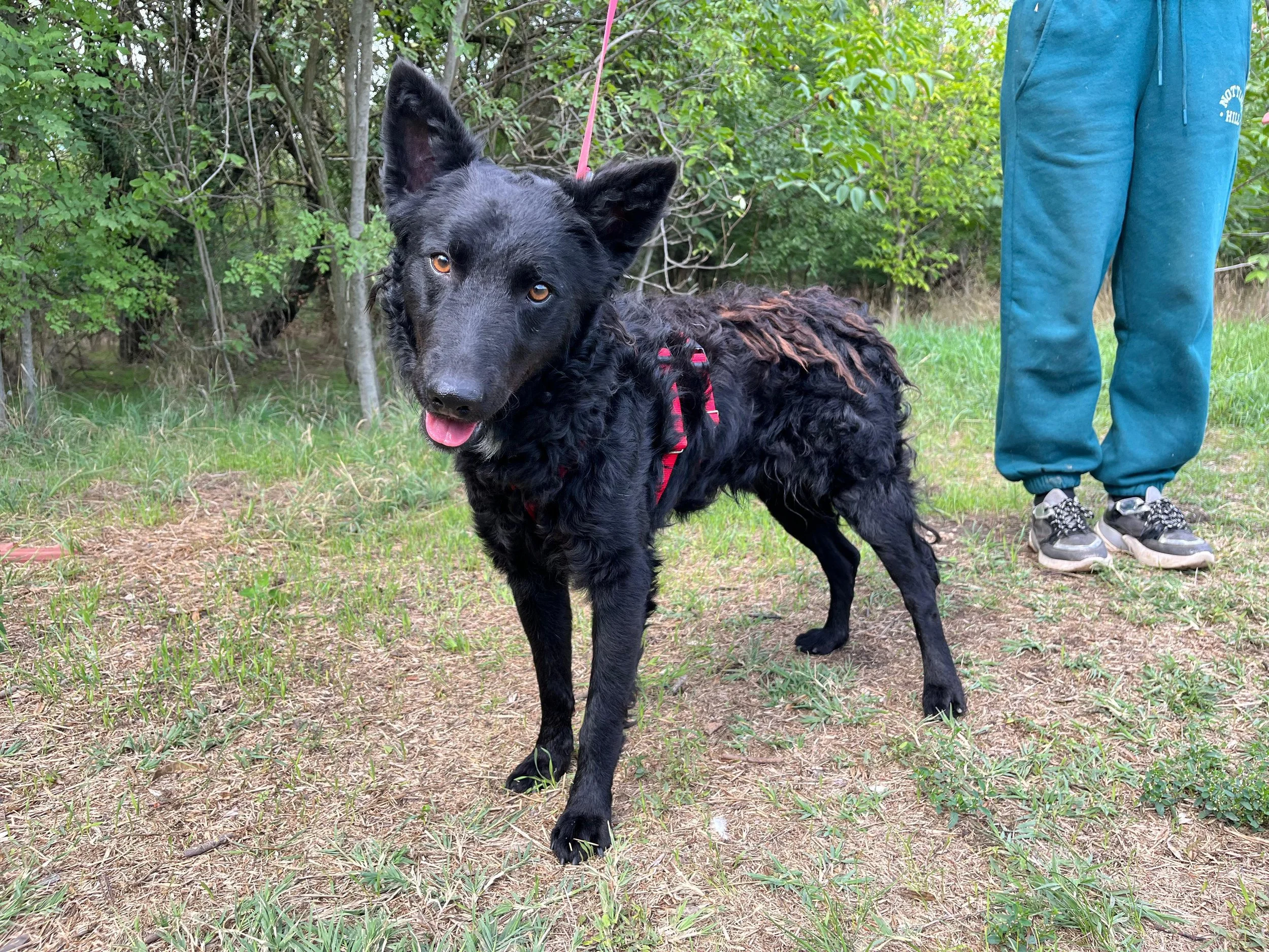 WhatsApp Image 2025-10-28 at 16.52.56 (3).jpeg