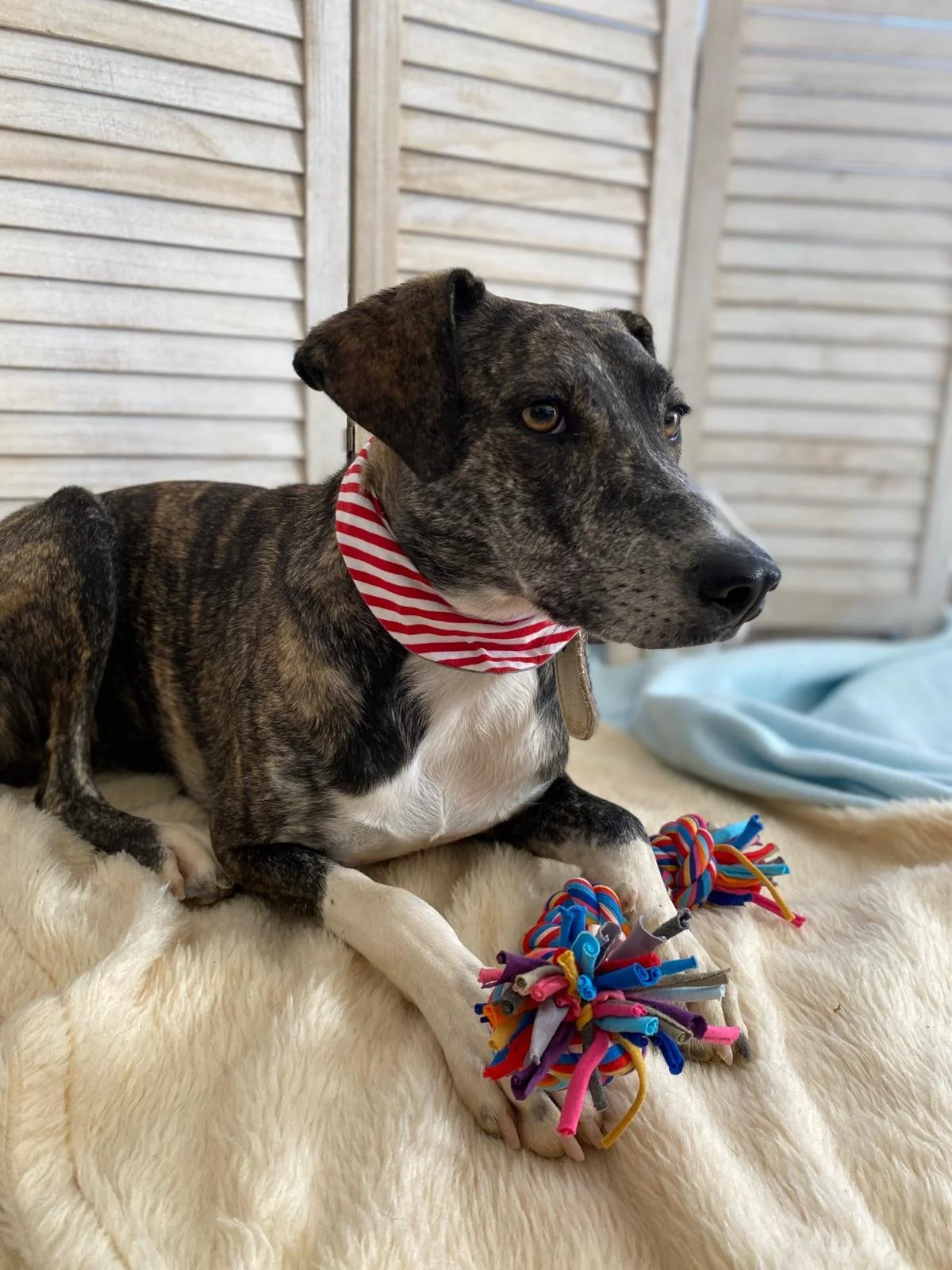 PHOTO-2025-11-12-09-35-35 (4).jpeg