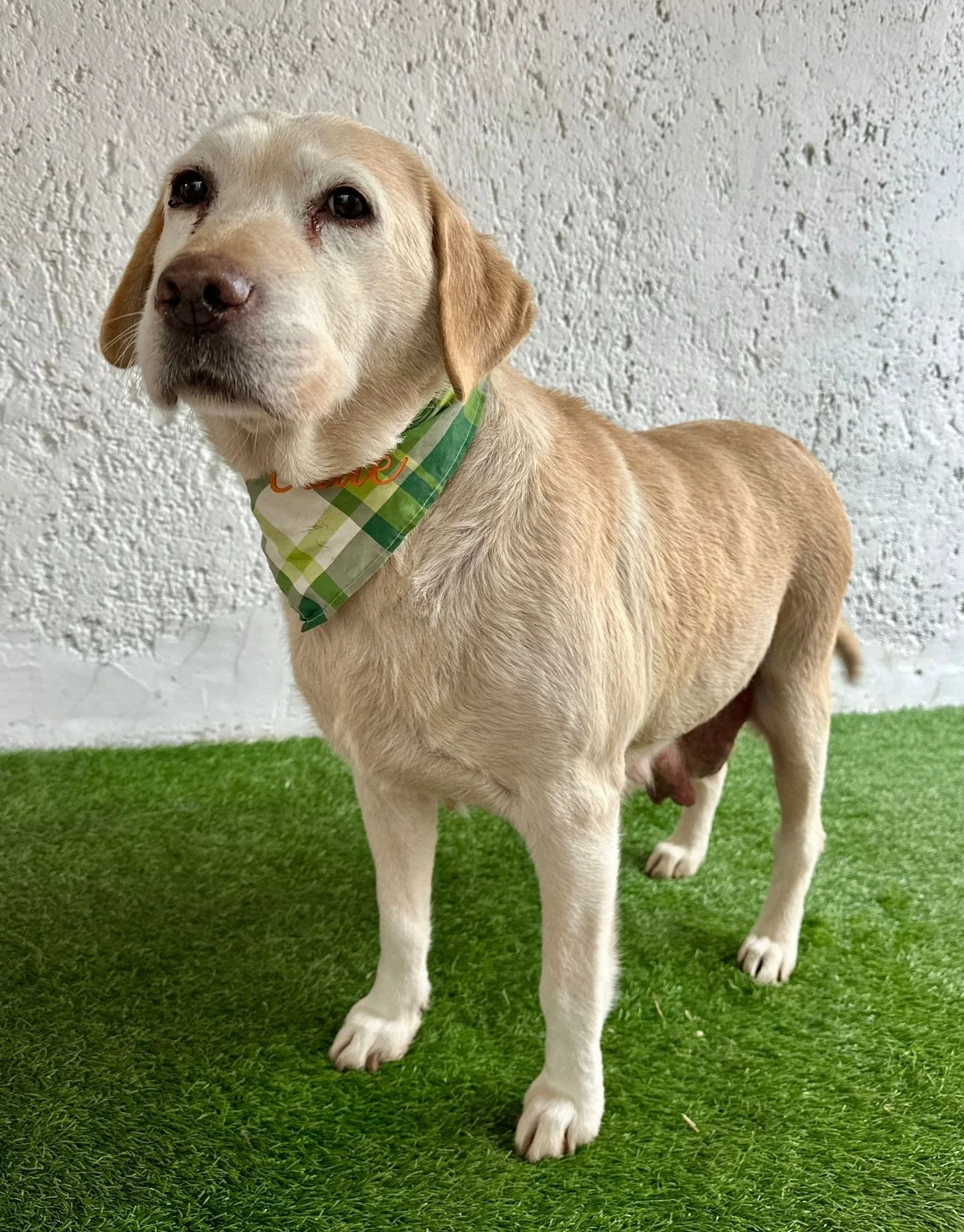 WhatsApp Image 2026-01-01 at 12.37.32 (3).jpeg