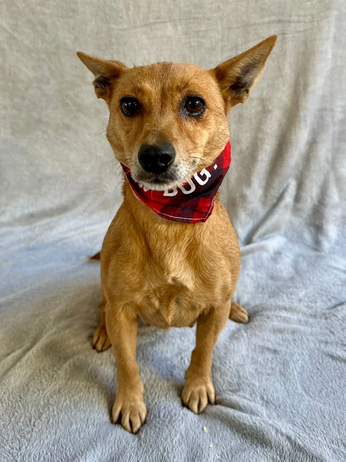 WhatsApp Image 2026-01-01 at 11.59.01 (3).jpeg