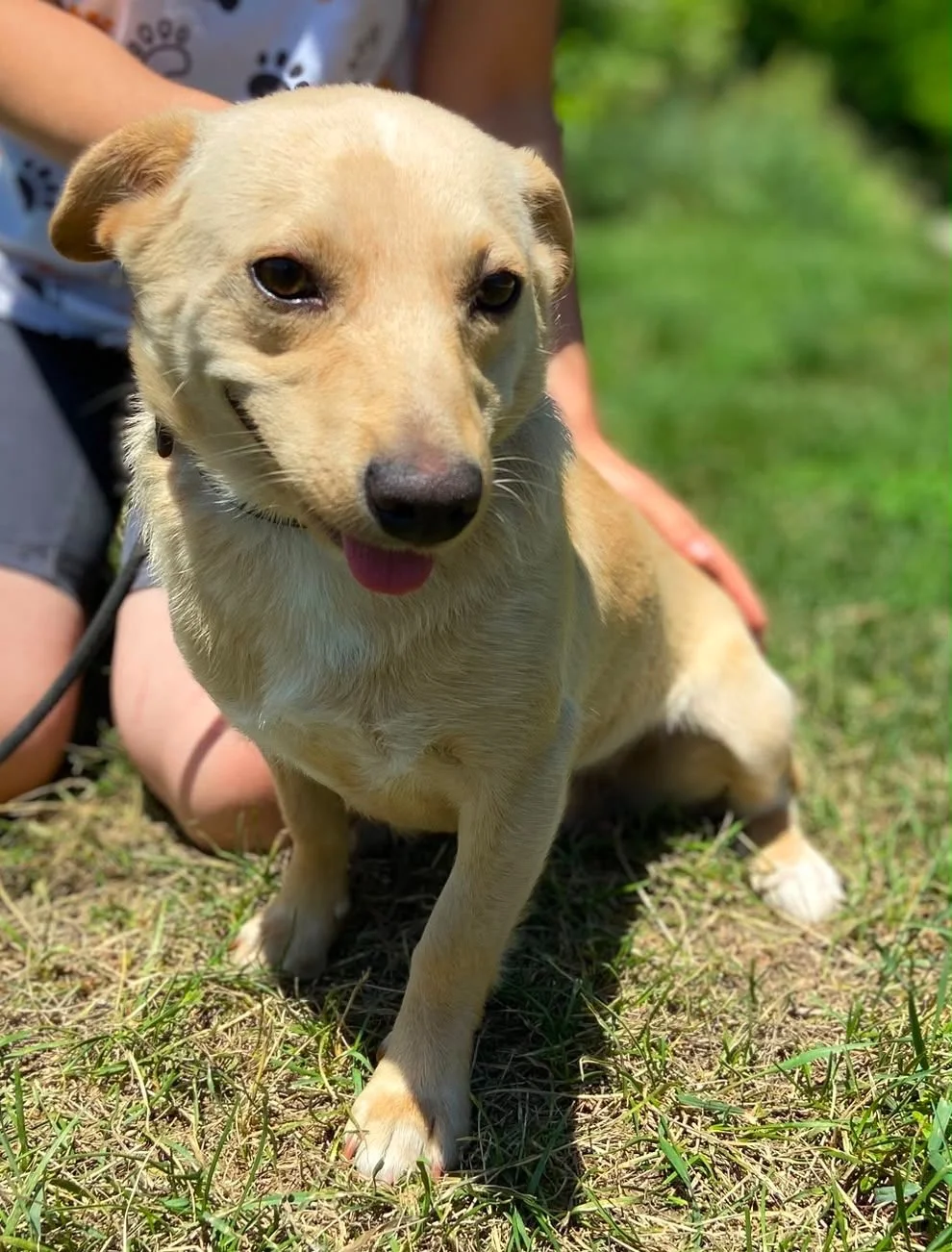 3ca7e067-573f-49ad-8834-e59d5ebedb6e.JPG