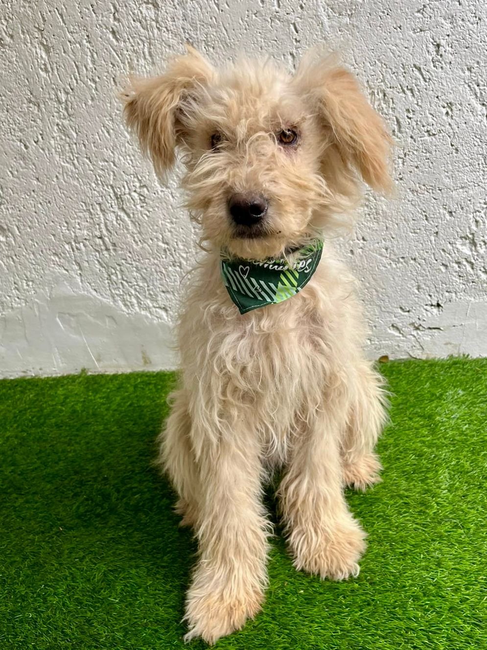 WhatsApp Image 2025-10-31 at 10.04.34.jpeg