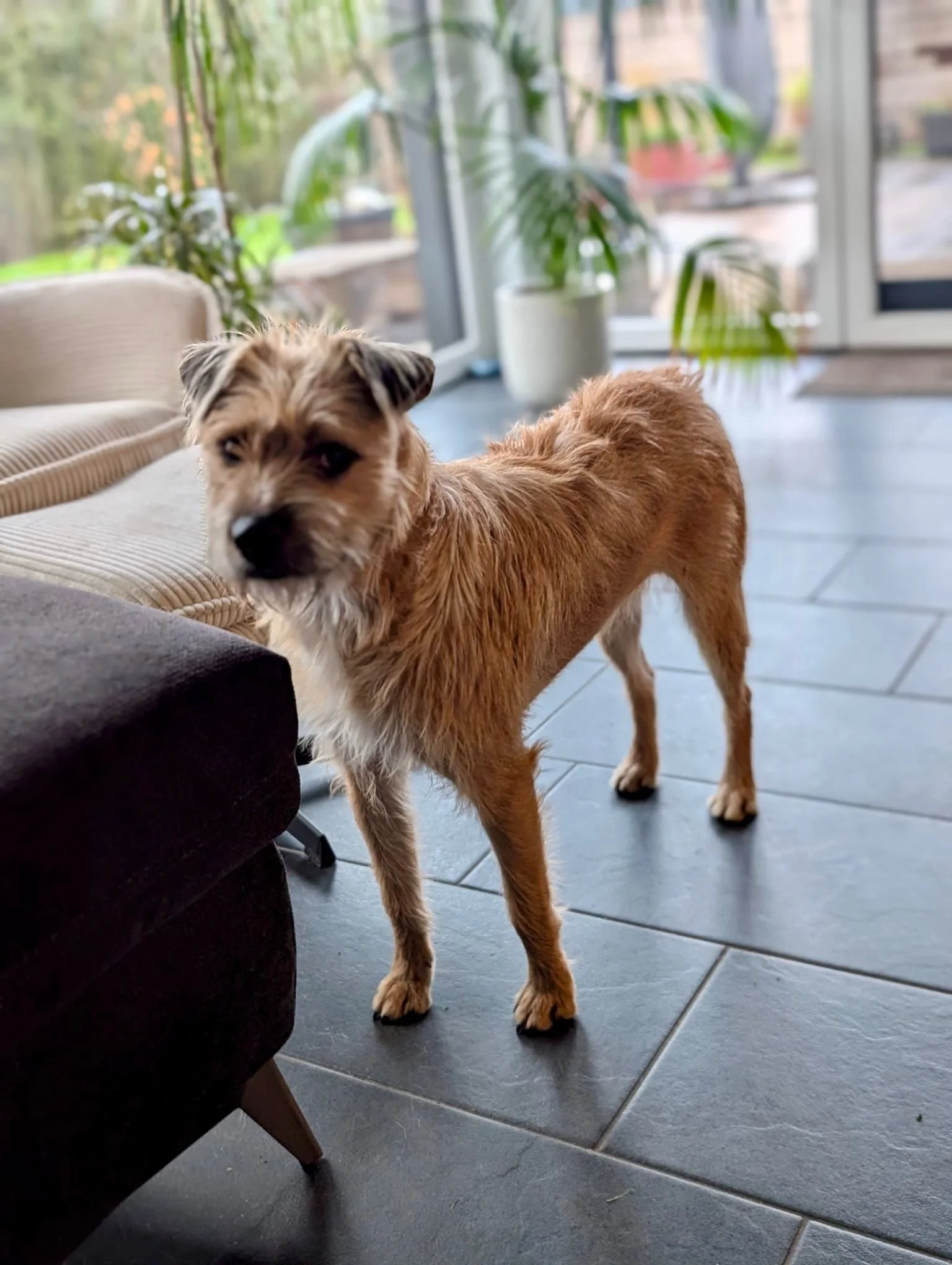 WhatsApp Image 2025-11-19 at 17.16.47 (2).jpeg