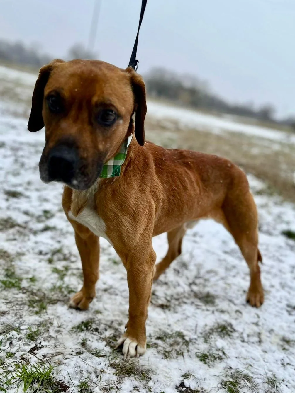 WhatsApp Image 2026-01-10 at 15.07.52 (2).jpeg