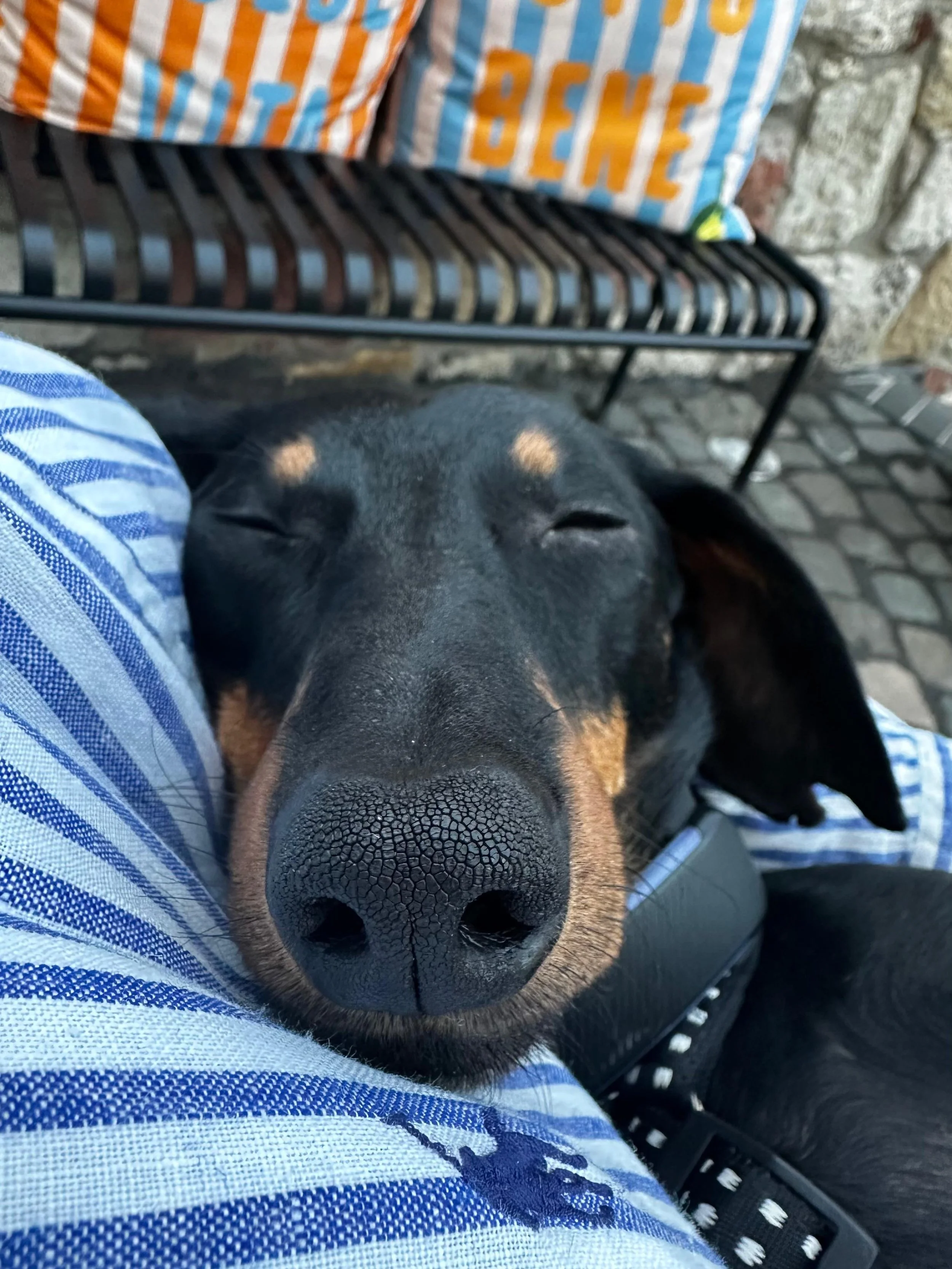 WhatsApp Image 2025-11-17 at 10.34.38.jpeg