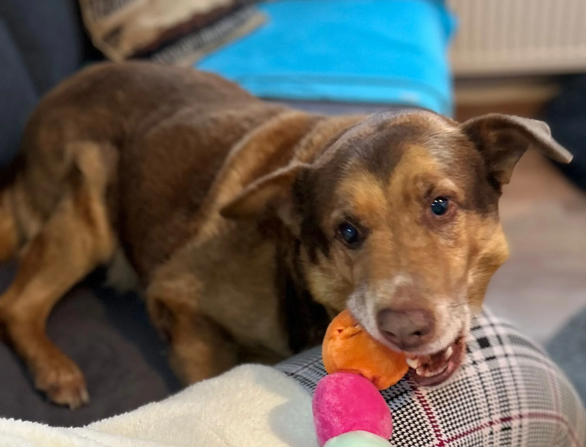 WhatsApp Image 2026-01-23 at 15.35.33 (3).jpeg