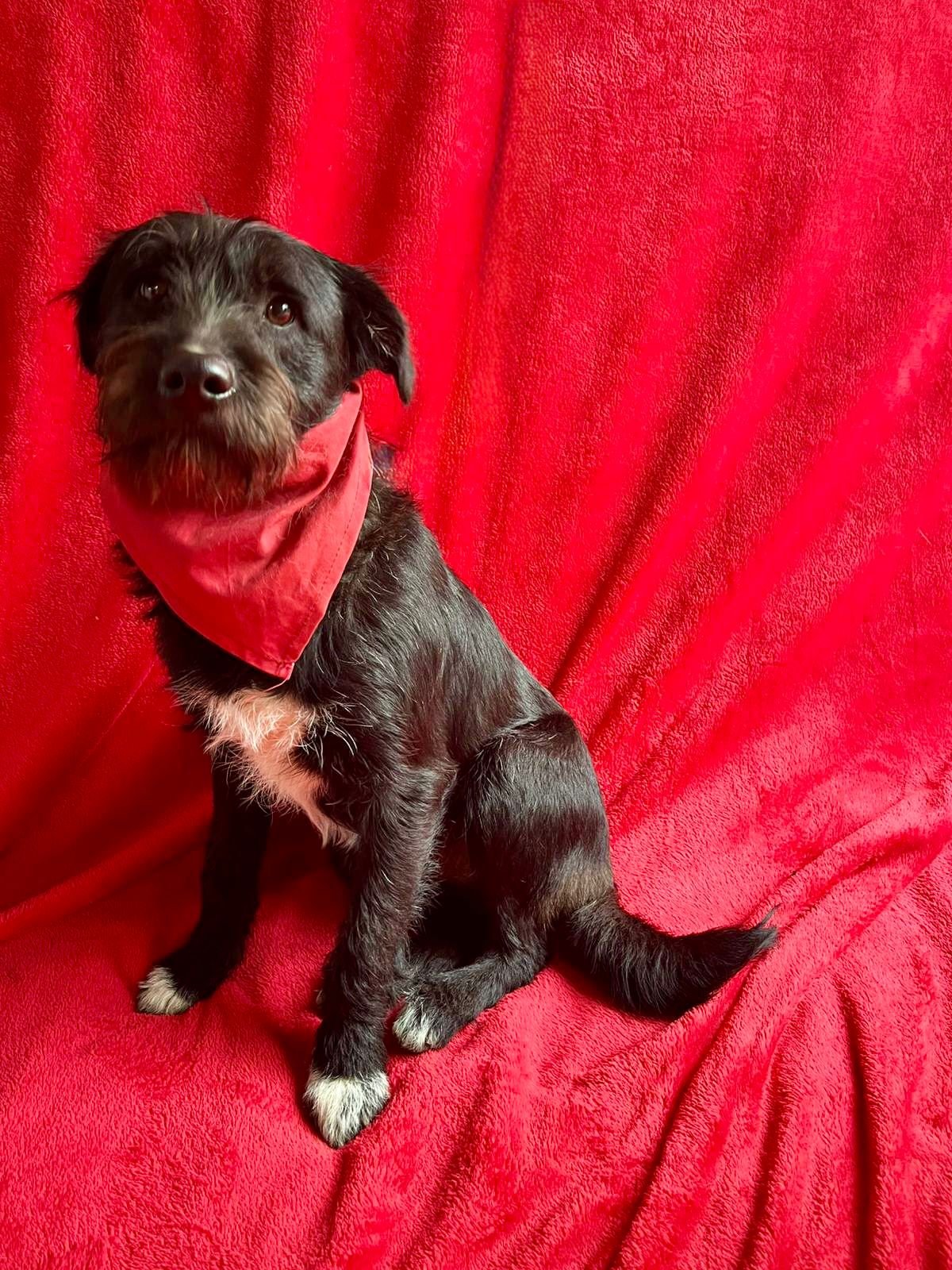 WhatsApp Image 2026-01-03 at 17.56.39 (1).jpeg