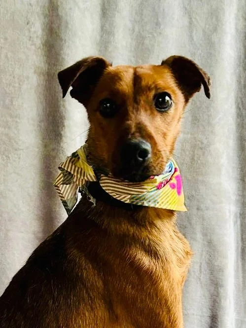 WhatsApp Image 2026-01-03 at 11.24.25 (3).jpeg