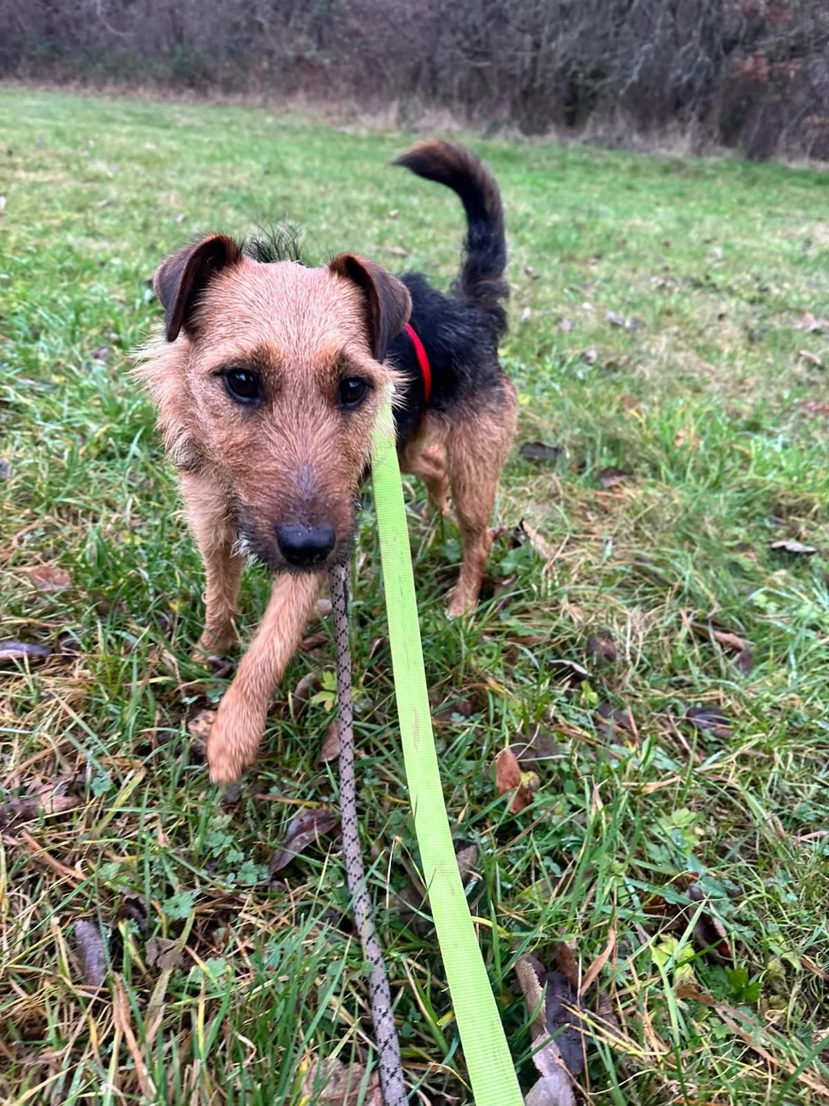 WhatsApp Image 2025-12-19 at 14.41.22 (1).jpeg