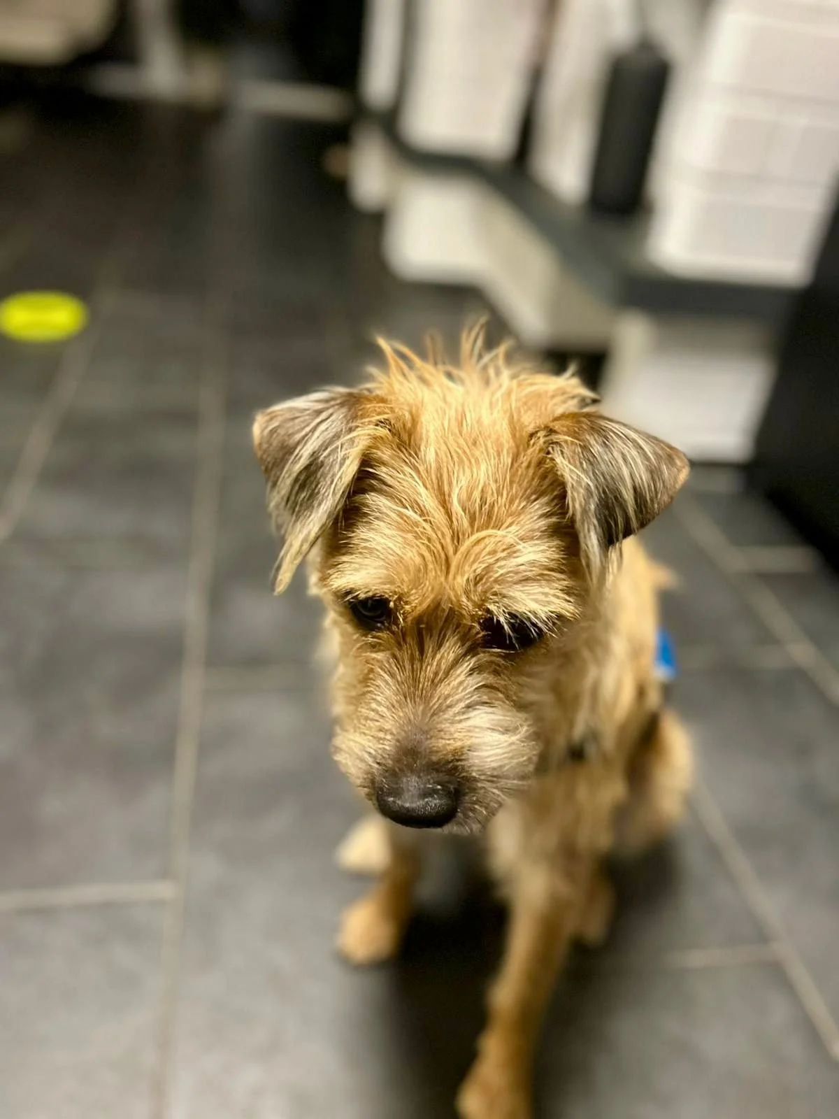 WhatsApp Image 2025-11-19 at 17.16.49 (1).jpeg