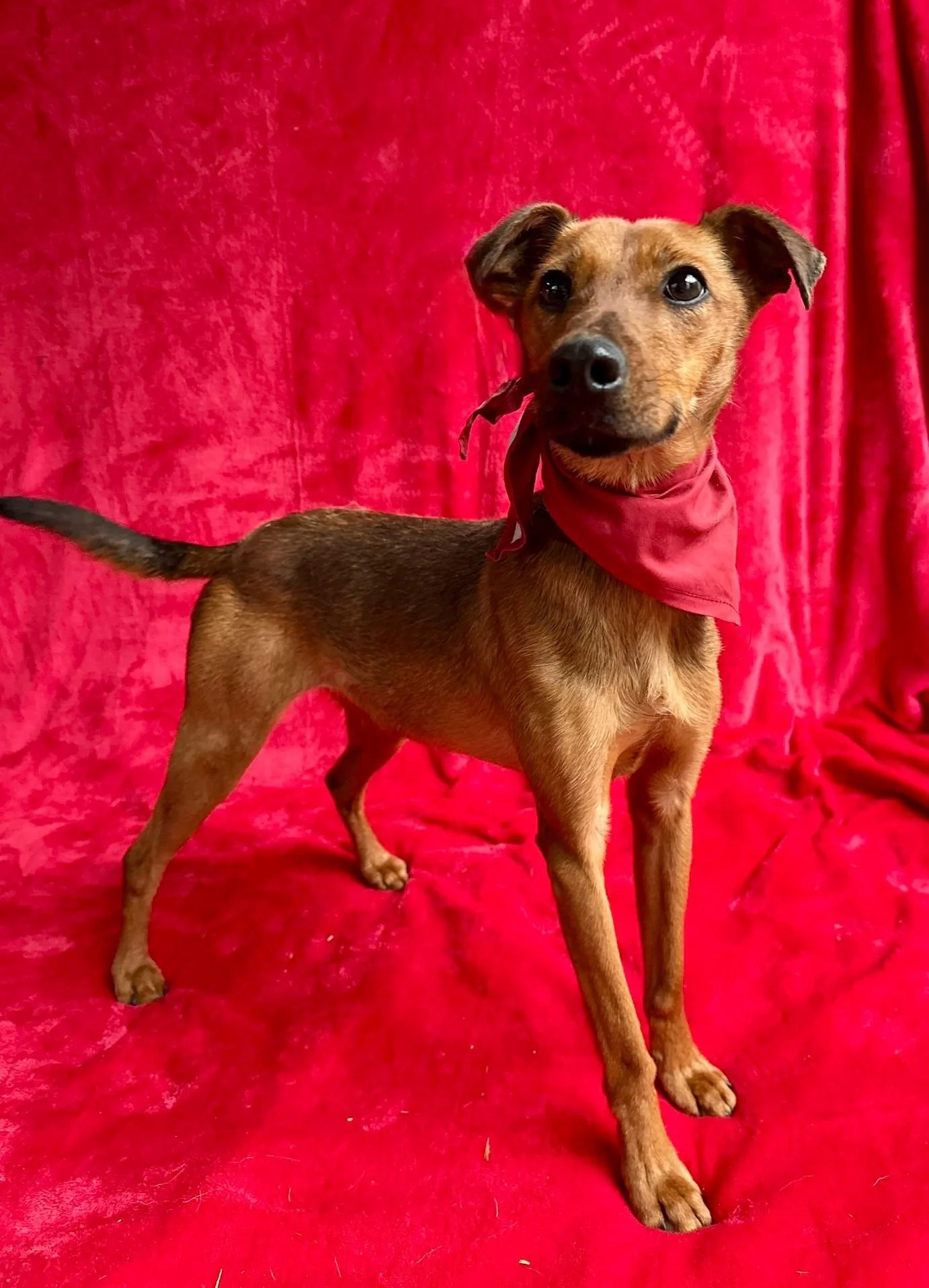 WhatsApp Image 2026-01-03 at 11.24.29 (1).jpeg