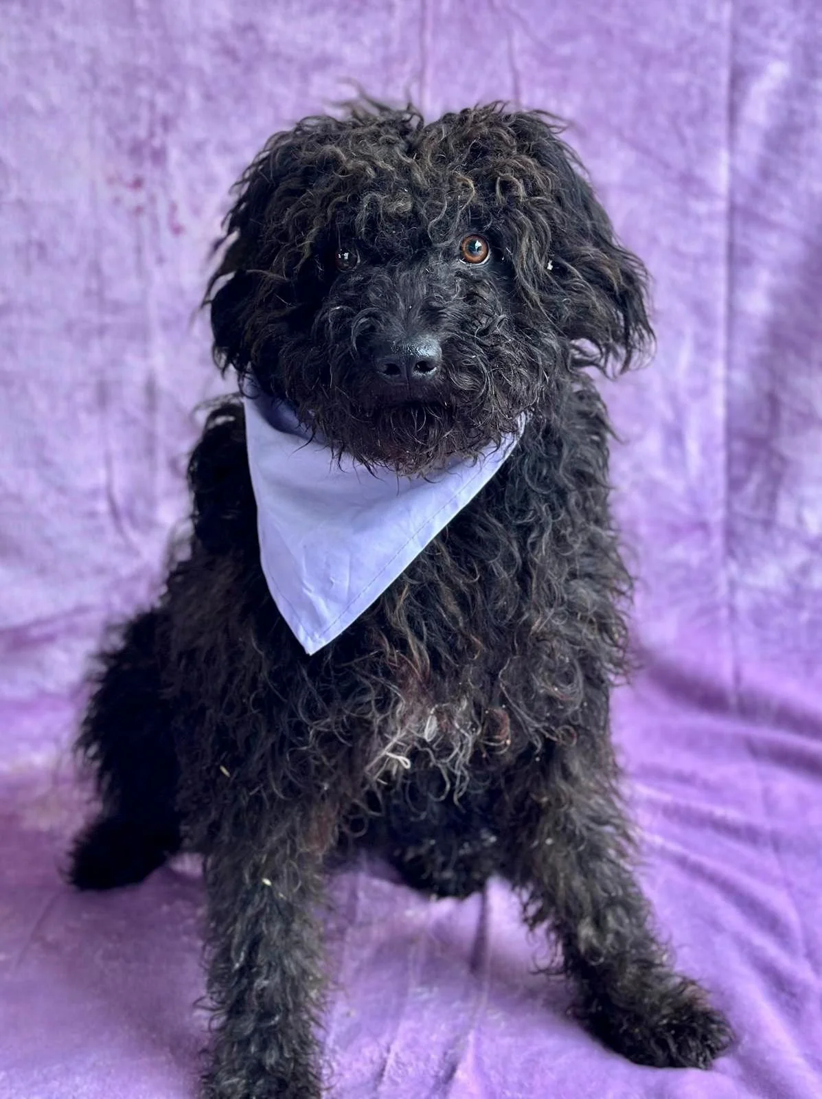 WhatsApp Image 2026-01-20 at 15.53.39 (2).jpeg