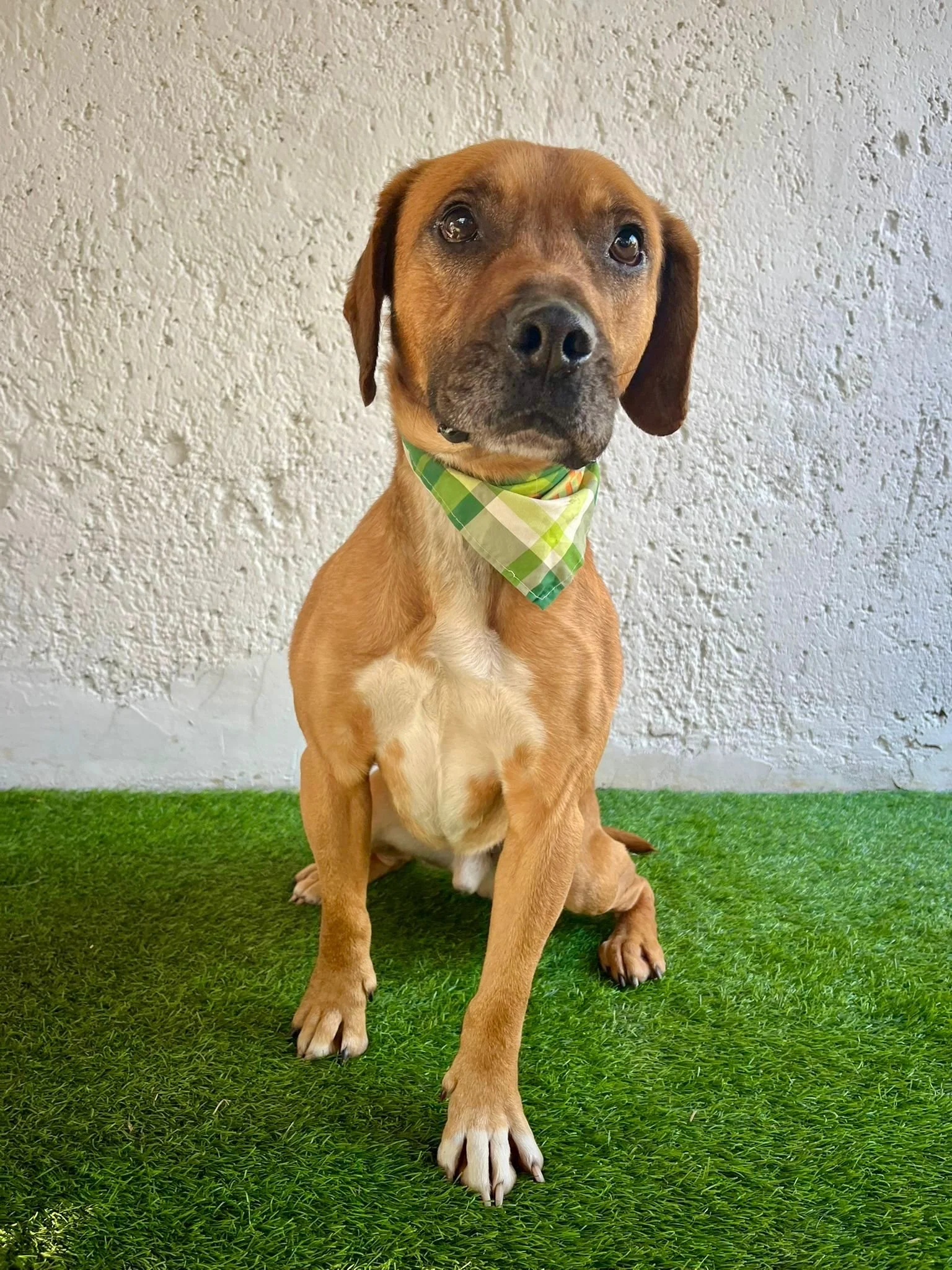 WhatsApp Image 2026-01-10 at 15.07.55 (3).jpeg