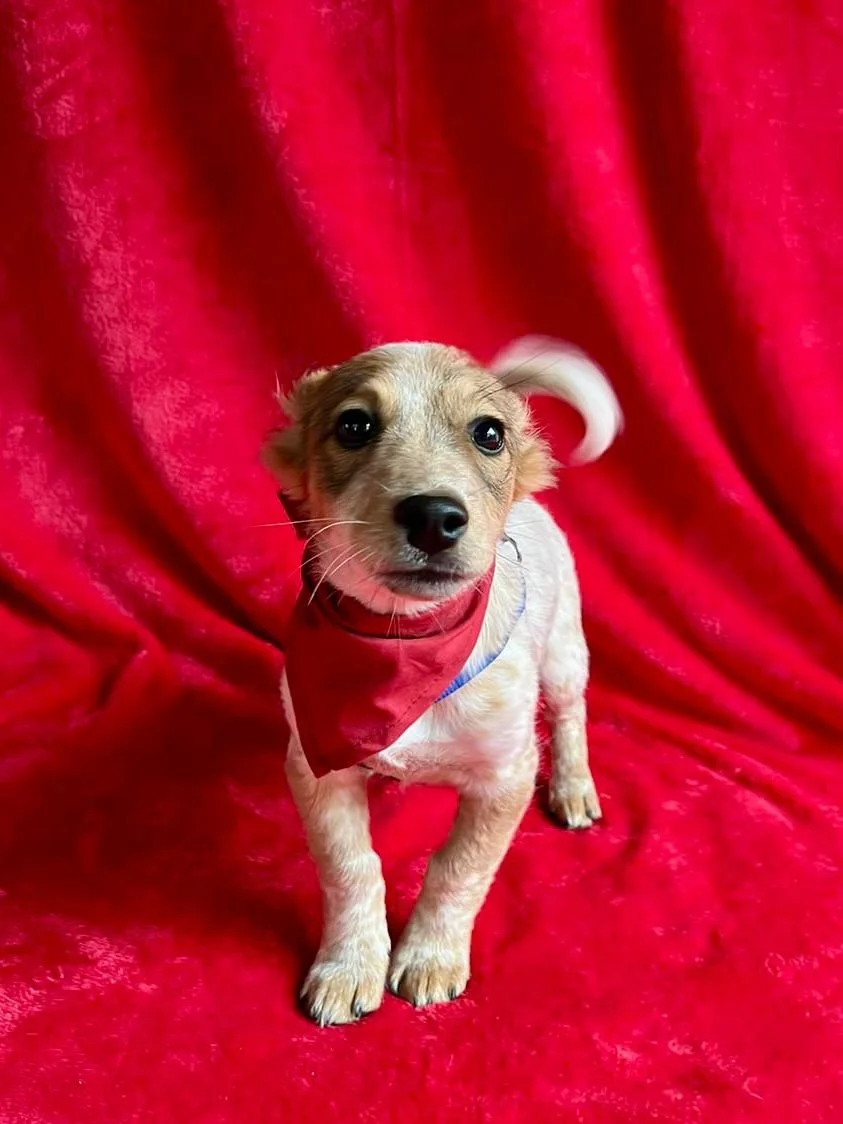 WhatsApp Image 2025-11-18 at 09.53.23.jpeg