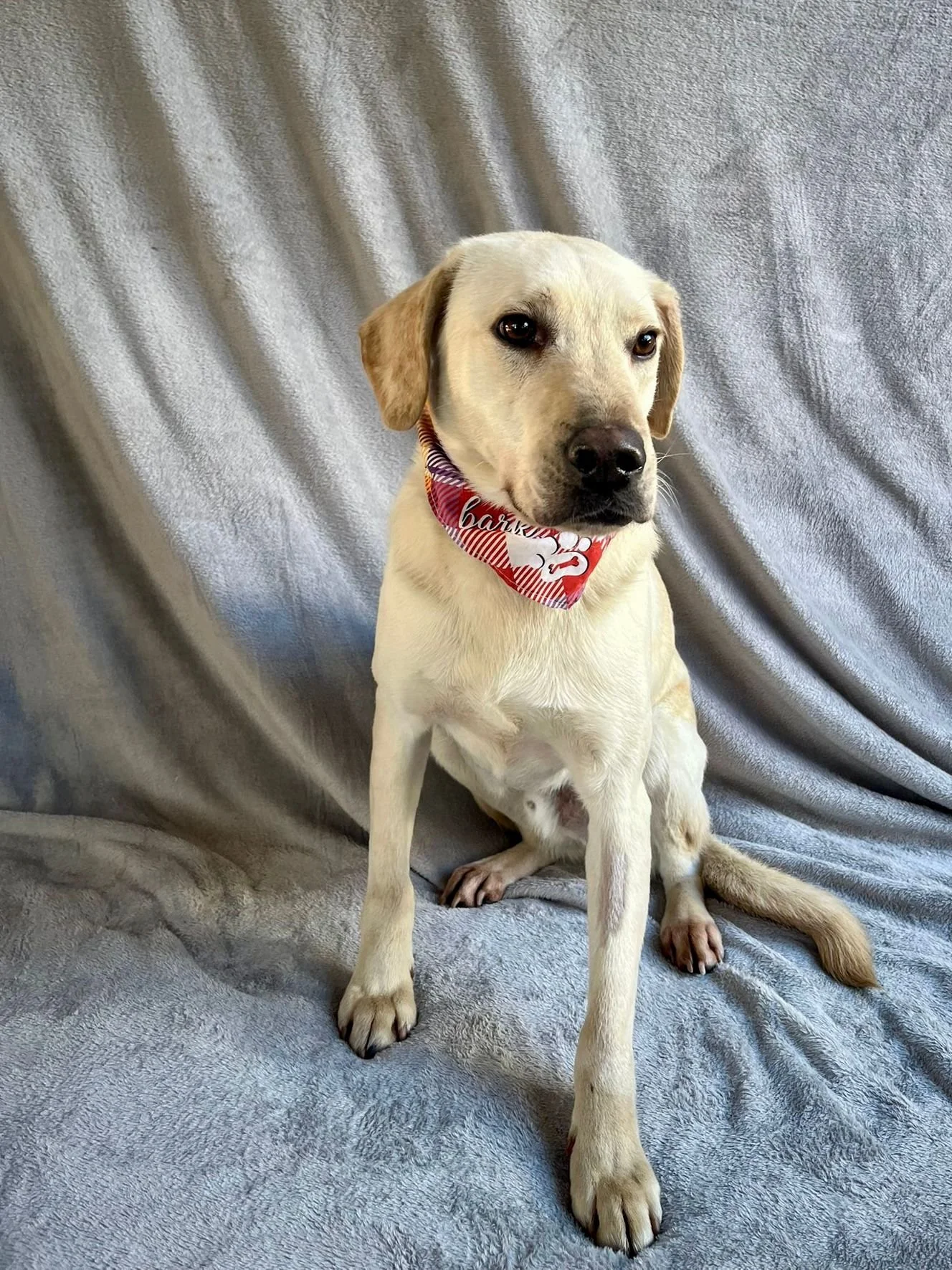 WhatsApp Image 2026-01-01 at 19.16.33 (1).jpeg