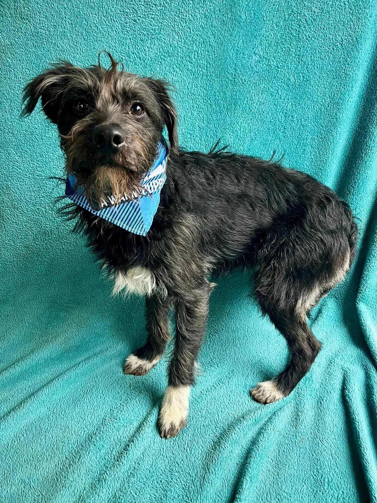 WhatsApp Image 2026-01-03 at 13.03.44 (2).jpeg