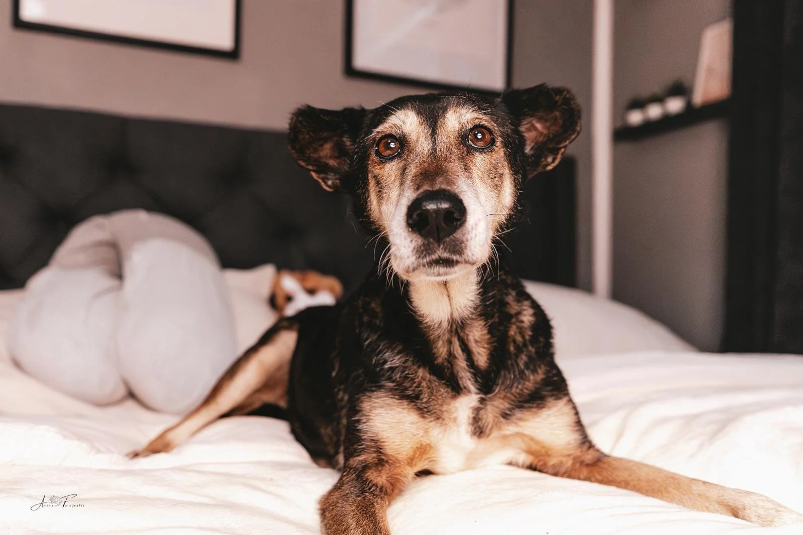 WhatsApp Image 2025-12-13 at 16.28.25 (2).jpeg