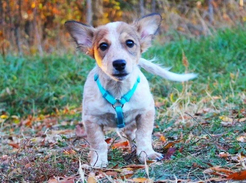 WhatsApp Image 2025-11-18 at 09.53.28 (2).jpeg