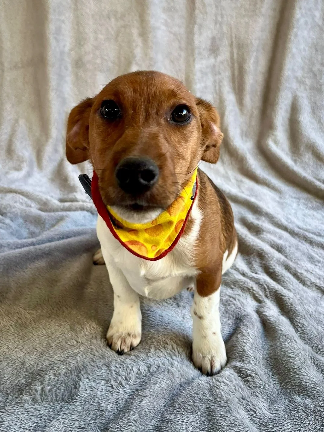 WhatsApp Image 2026-01-01 at 11.31.53.jpeg