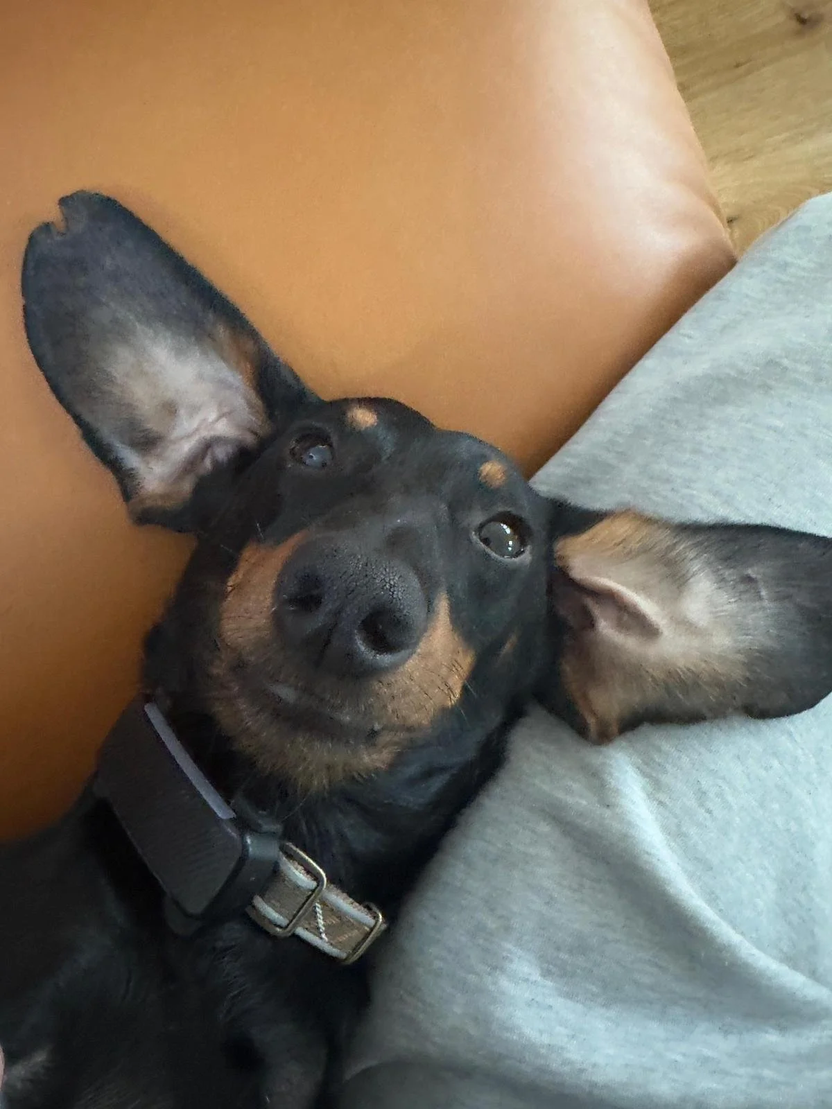 WhatsApp Image 2025-11-17 at 10.34.38 (3).jpeg