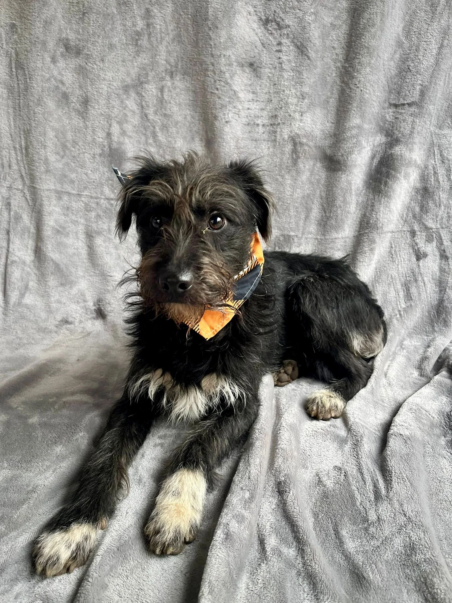 WhatsApp Image 2026-01-03 at 13.03.43 (3).jpeg