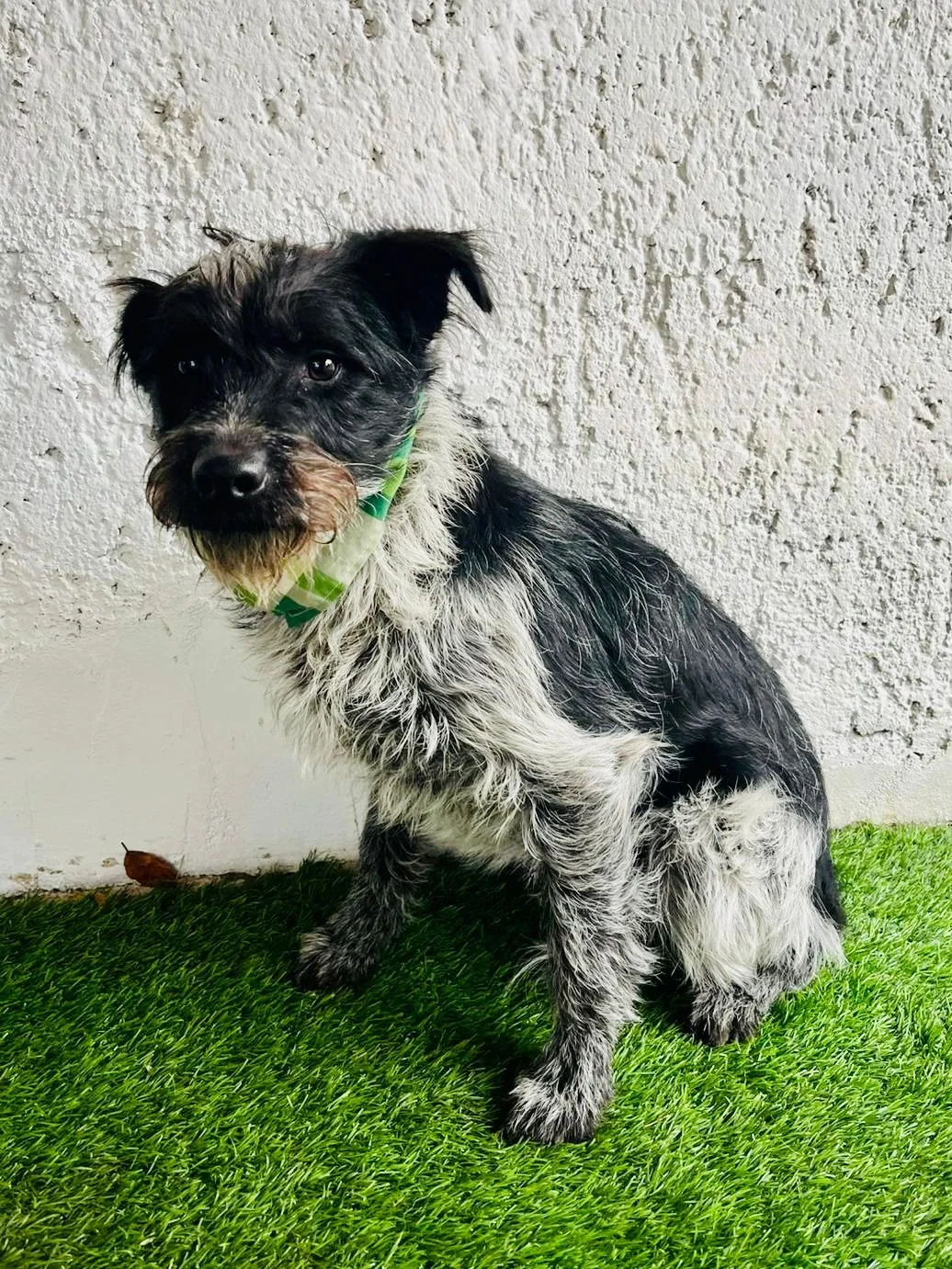 WhatsApp Image 2026-01-03 at 17.56.41 (1).jpeg