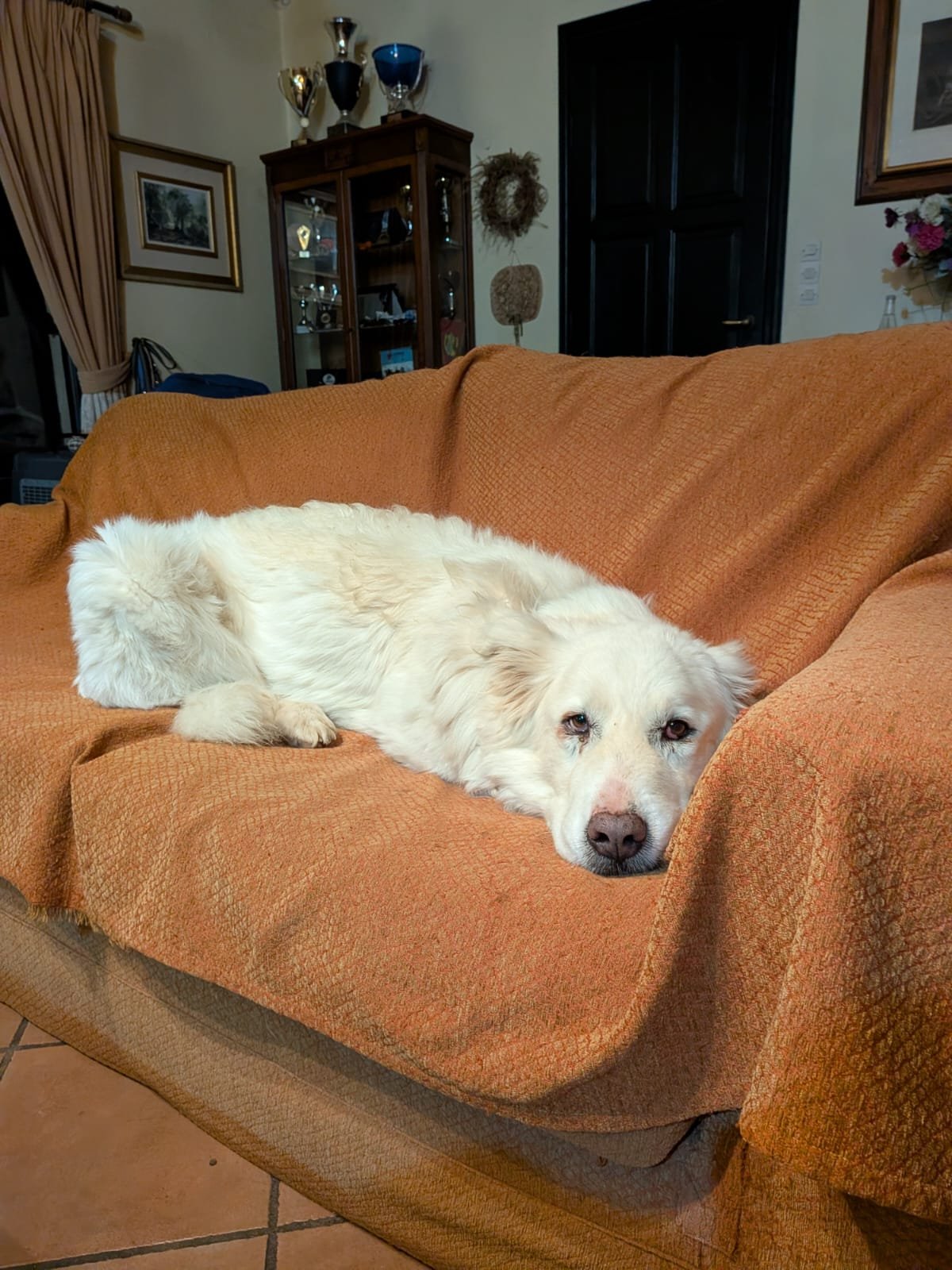 IMG-20260411-WA0022.jpeg