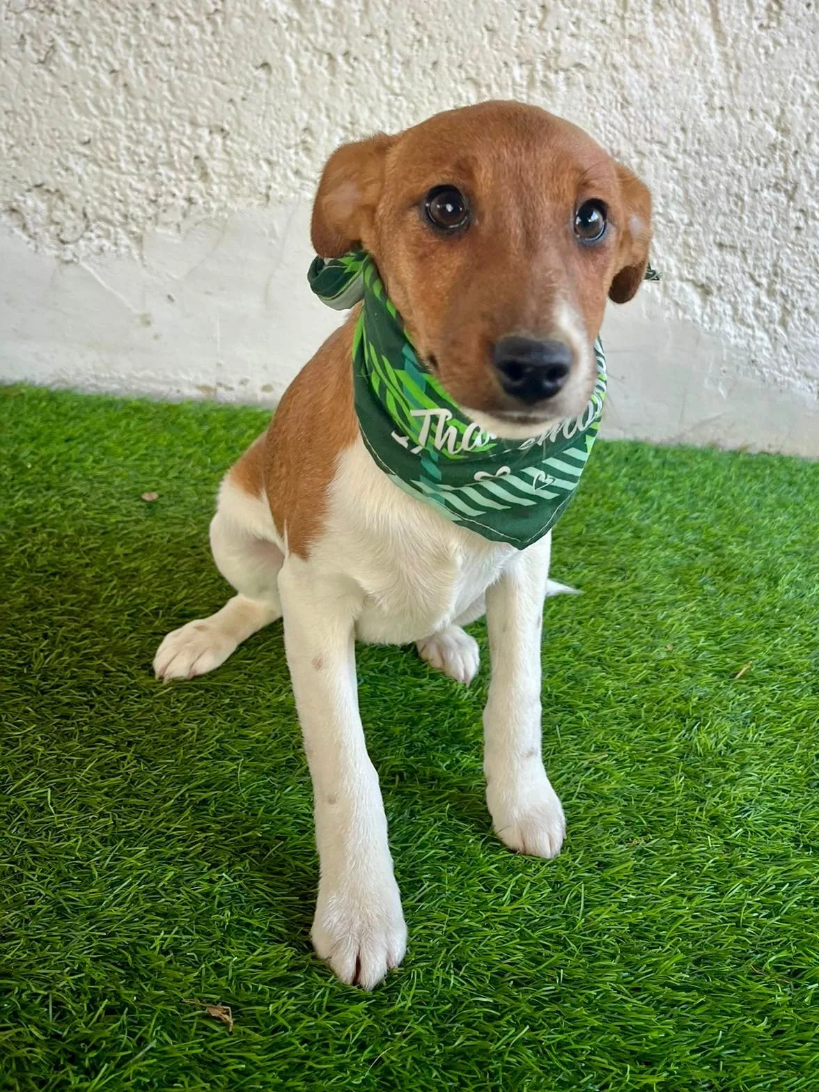 WhatsApp Image 2026-01-01 at 11.31.54.jpeg