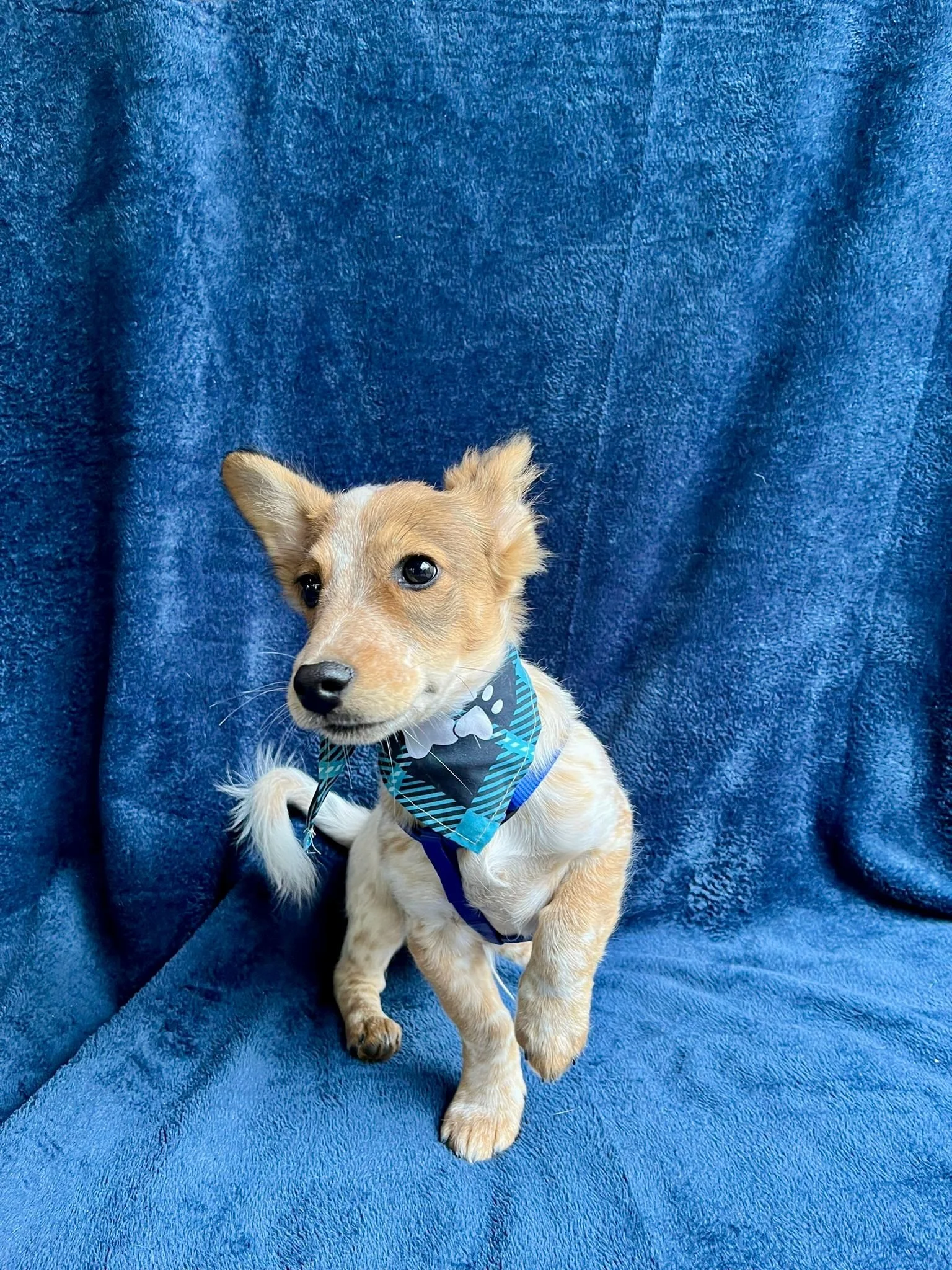 WhatsApp Image 2025-11-18 at 09.53.30.jpeg