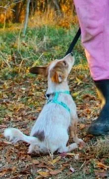 WhatsApp Image 2025-11-18 at 09.53.27 (2).jpeg