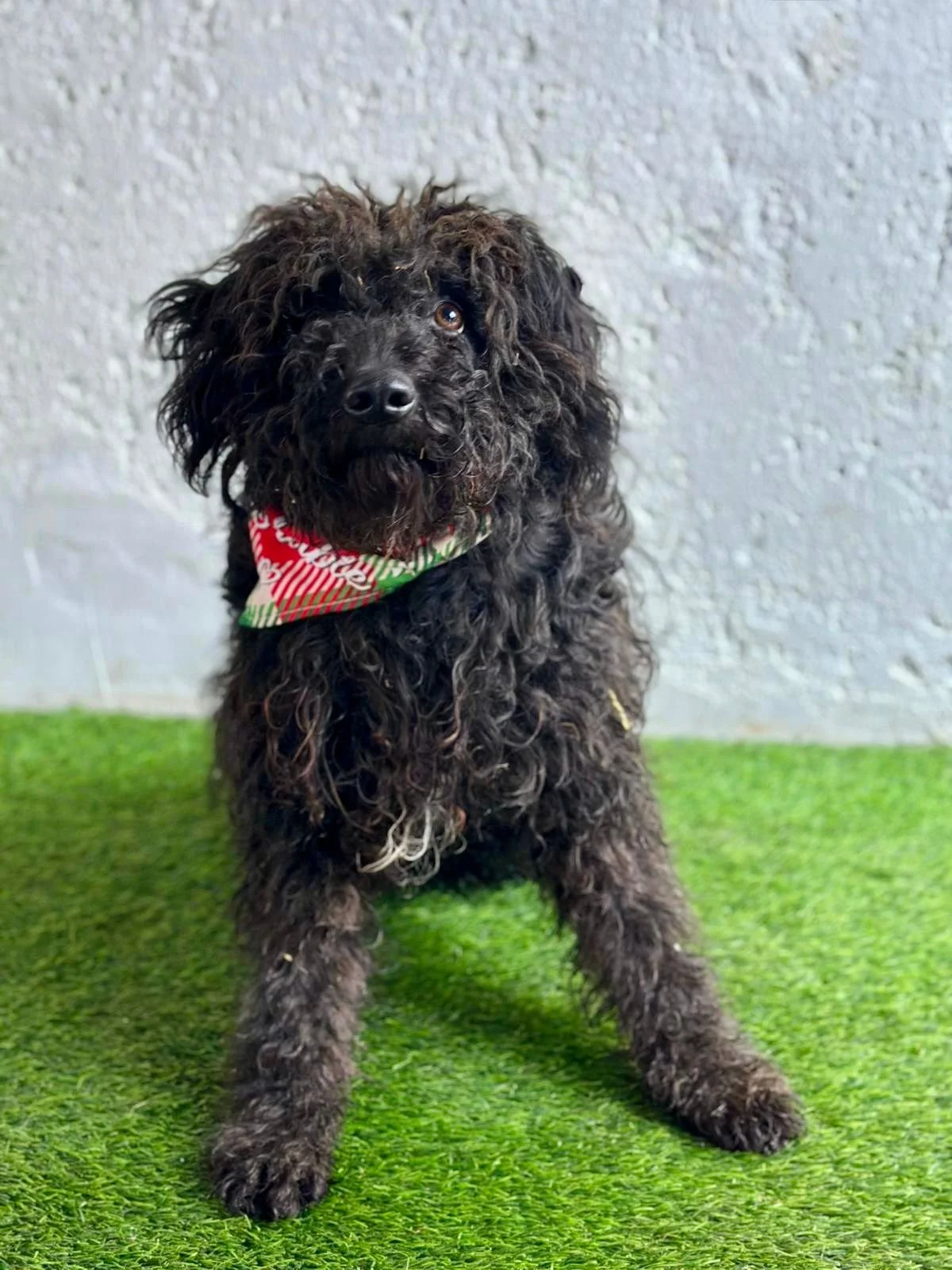 WhatsApp Image 2026-01-20 at 15.53.41.jpeg