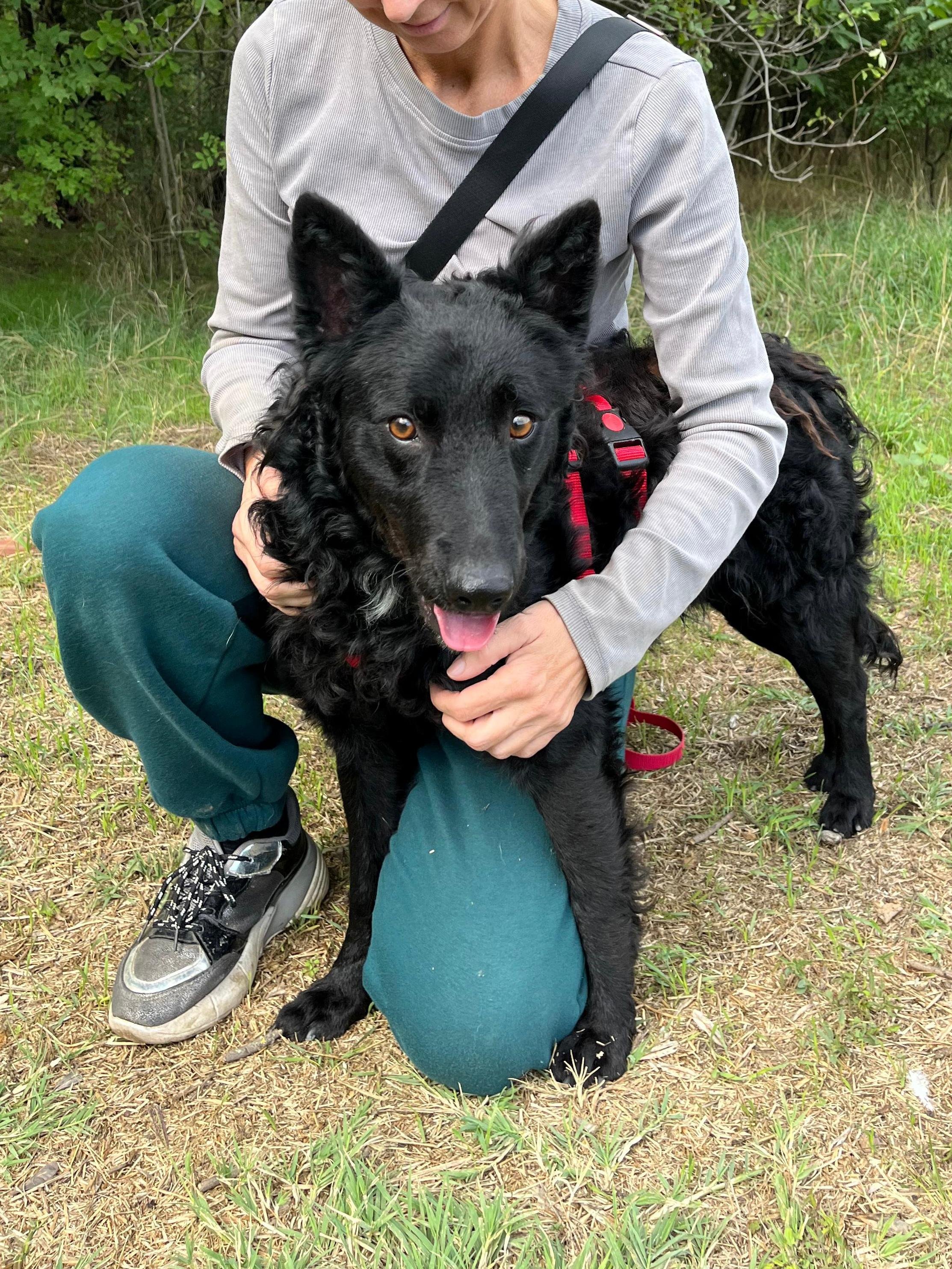 WhatsApp Image 2025-10-28 at 16.52.58 (1).jpeg