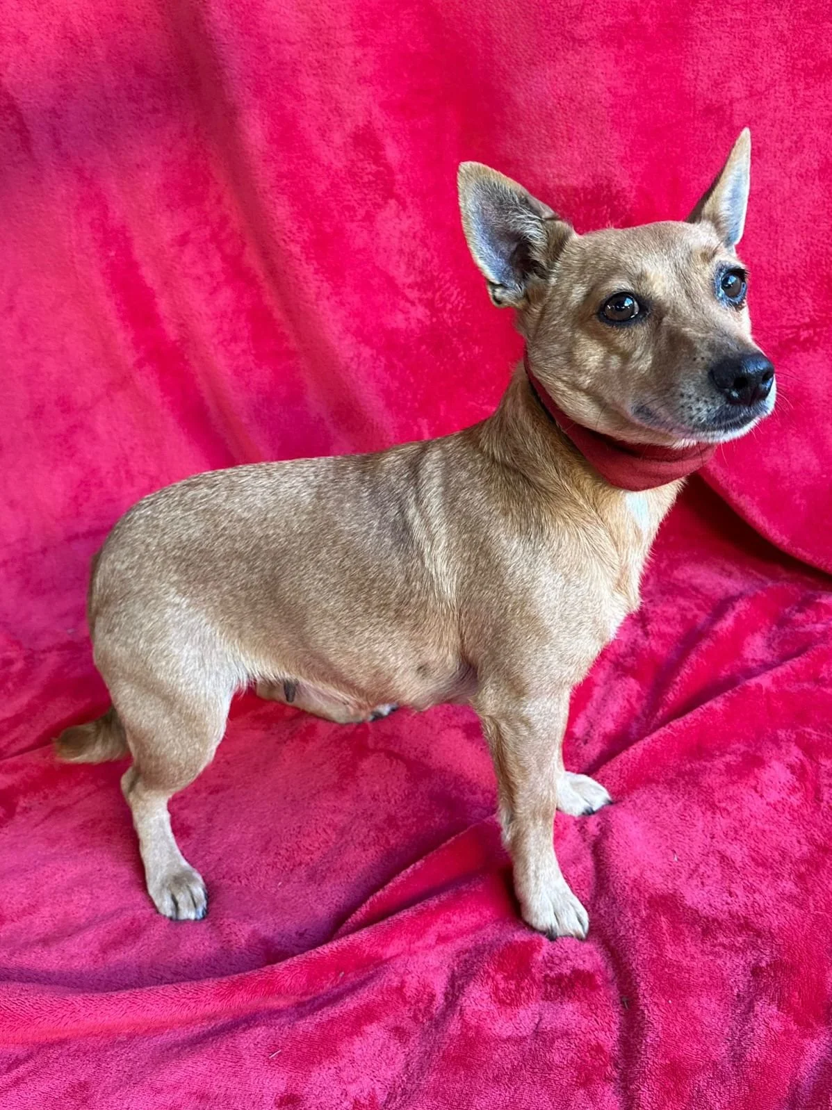 WhatsApp Image 2026-01-01 at 11.59.02 (1).jpeg