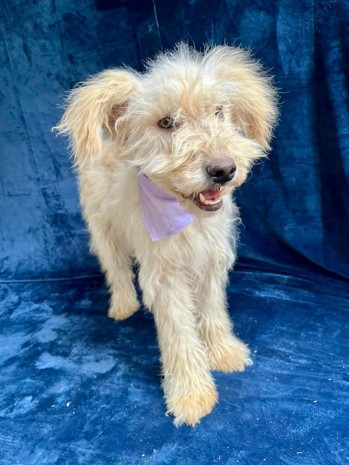 WhatsApp Image 2025-10-31 at 10.04.29.jpeg