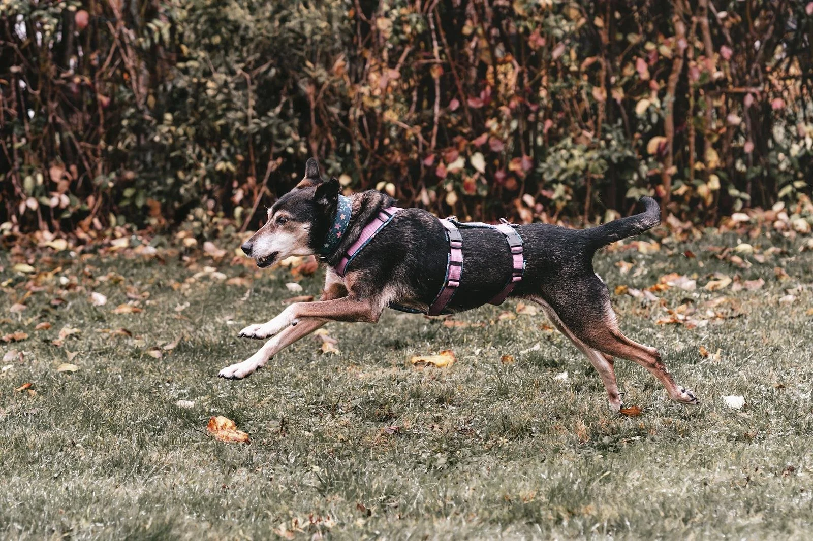 WhatsApp Image 2025-12-13 at 16.28.23.jpeg