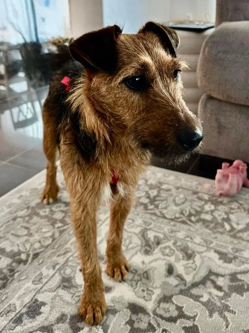 WhatsApp Image 2025-12-19 at 14.41.21 (2).jpeg