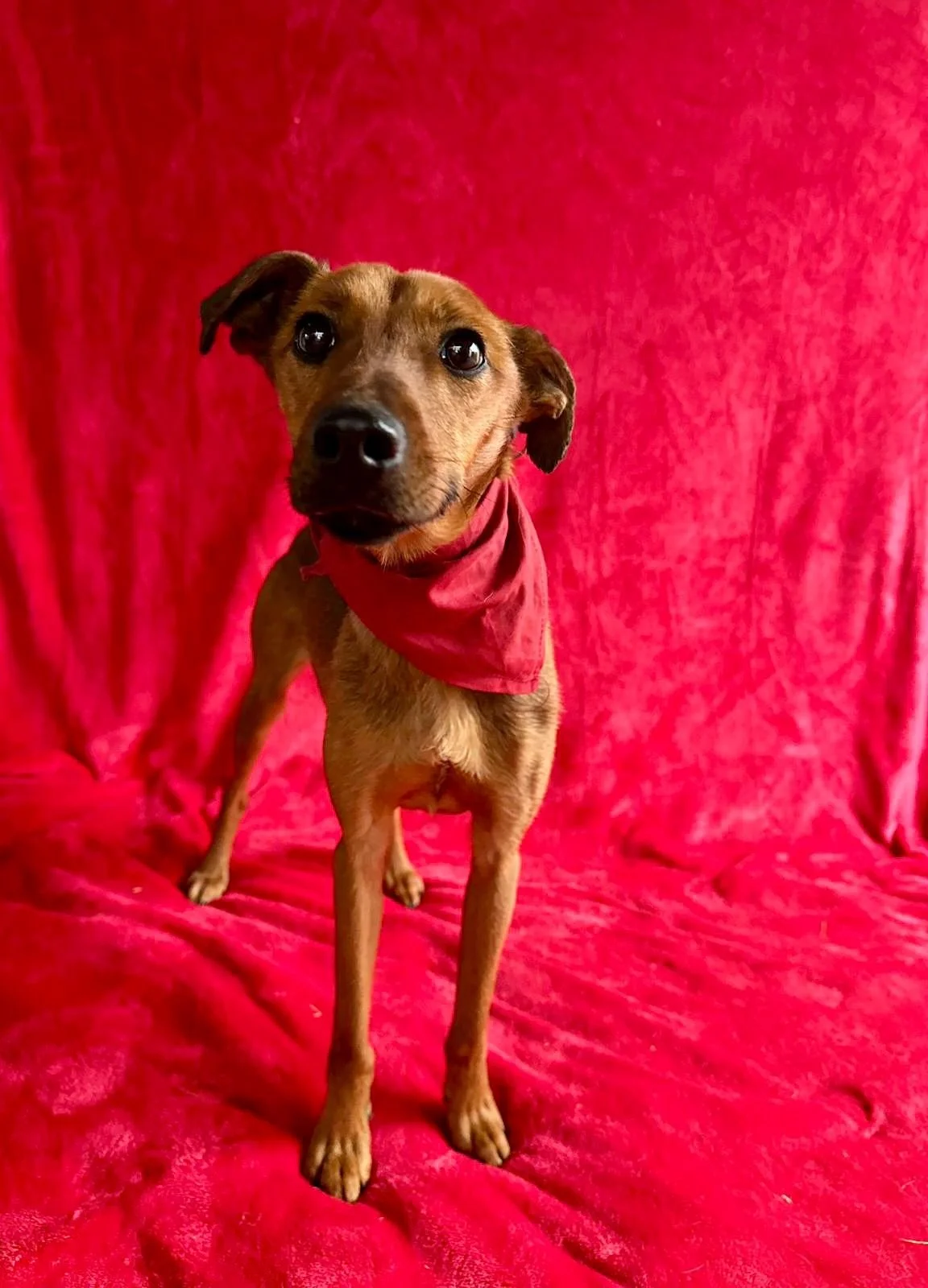 WhatsApp Image 2026-01-03 at 11.24.26 (1).jpeg