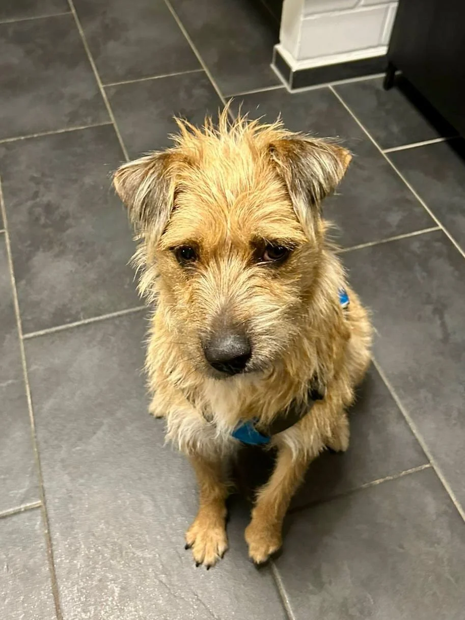 WhatsApp Image 2025-11-19 at 17.16.49 (2).jpeg