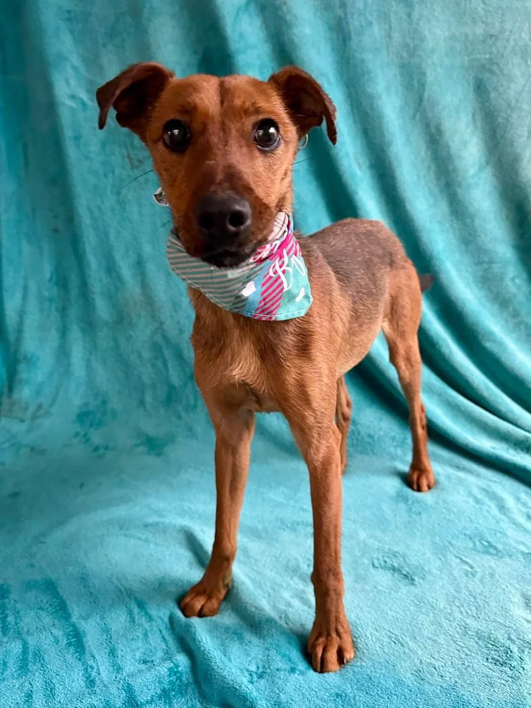 WhatsApp Image 2026-01-03 at 11.24.26.jpeg